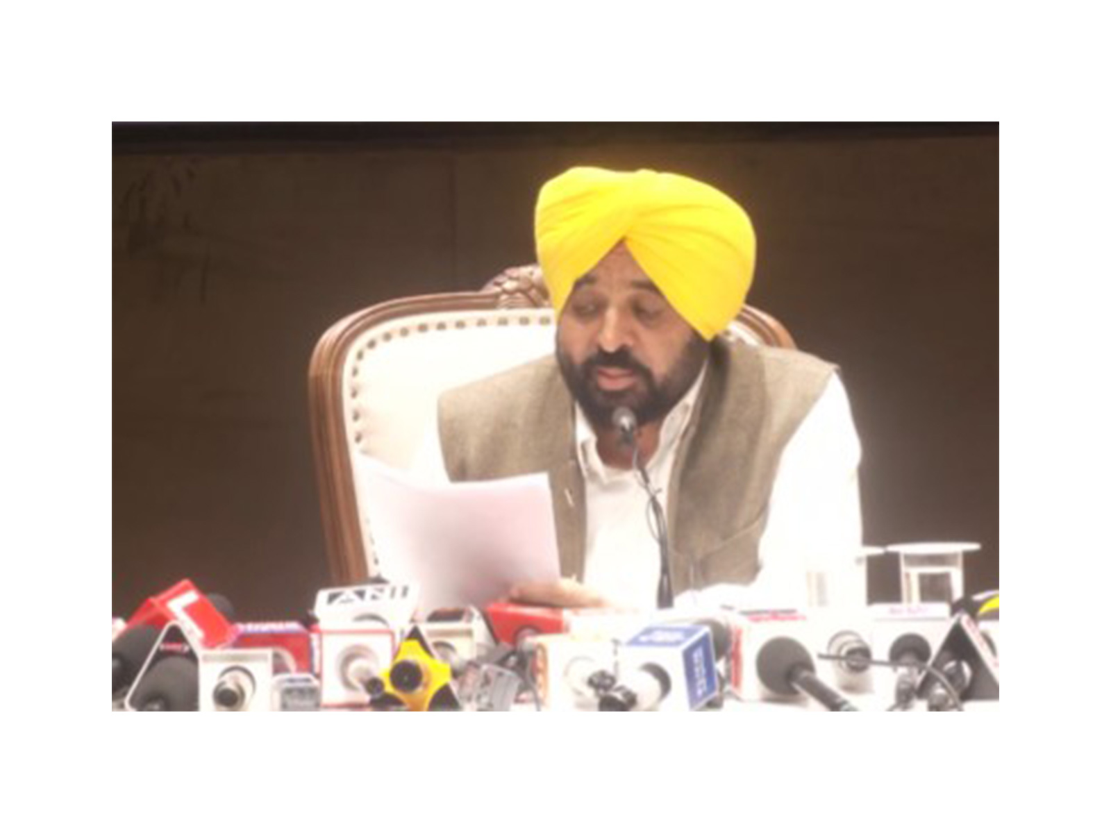 Punjab Chief Minister Bhagwant Mann (Photo/ANI)