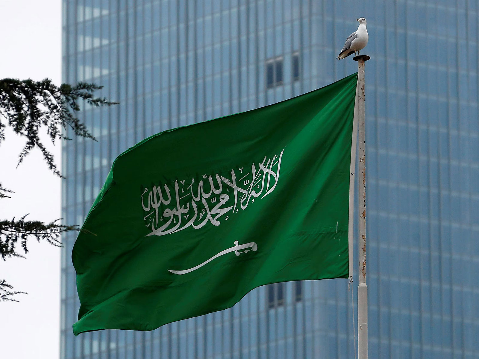 Saudi national flag (Photo/Reuters)