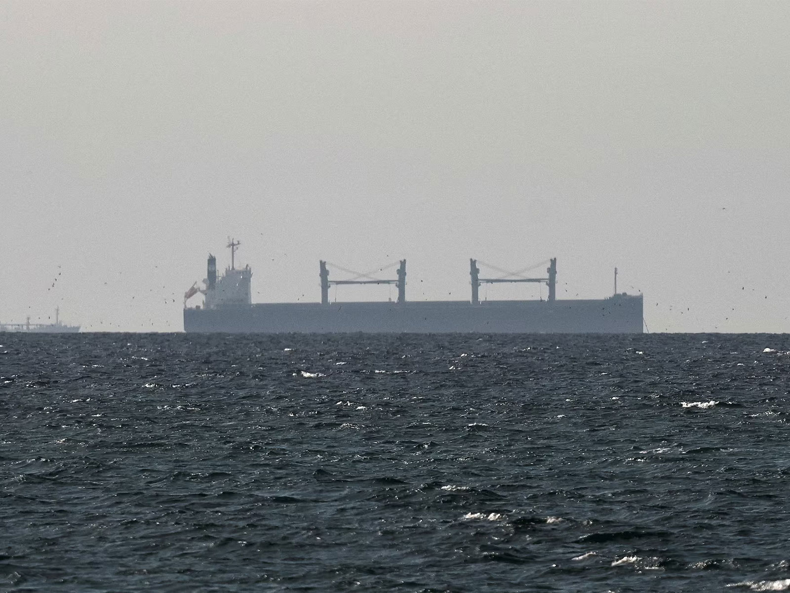 A tanker sails in the Gulf near the Strait of Hormuz, as seen from northern Ras al-Khaimah near the border with Oman's Musandam Governorate, amid the US-Israeli conflict with Iran, in the United Arab Emirates. (Photo/Reuters)