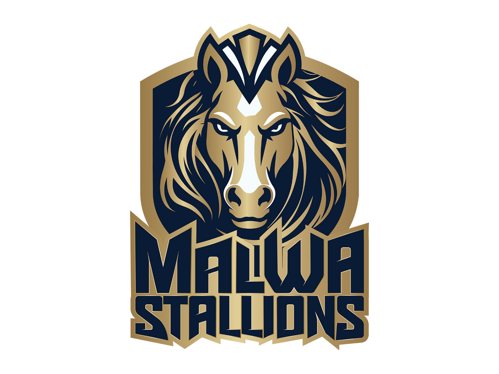 Malwa Stallions Announced as New Franchise in the Madhya Pradesh League
