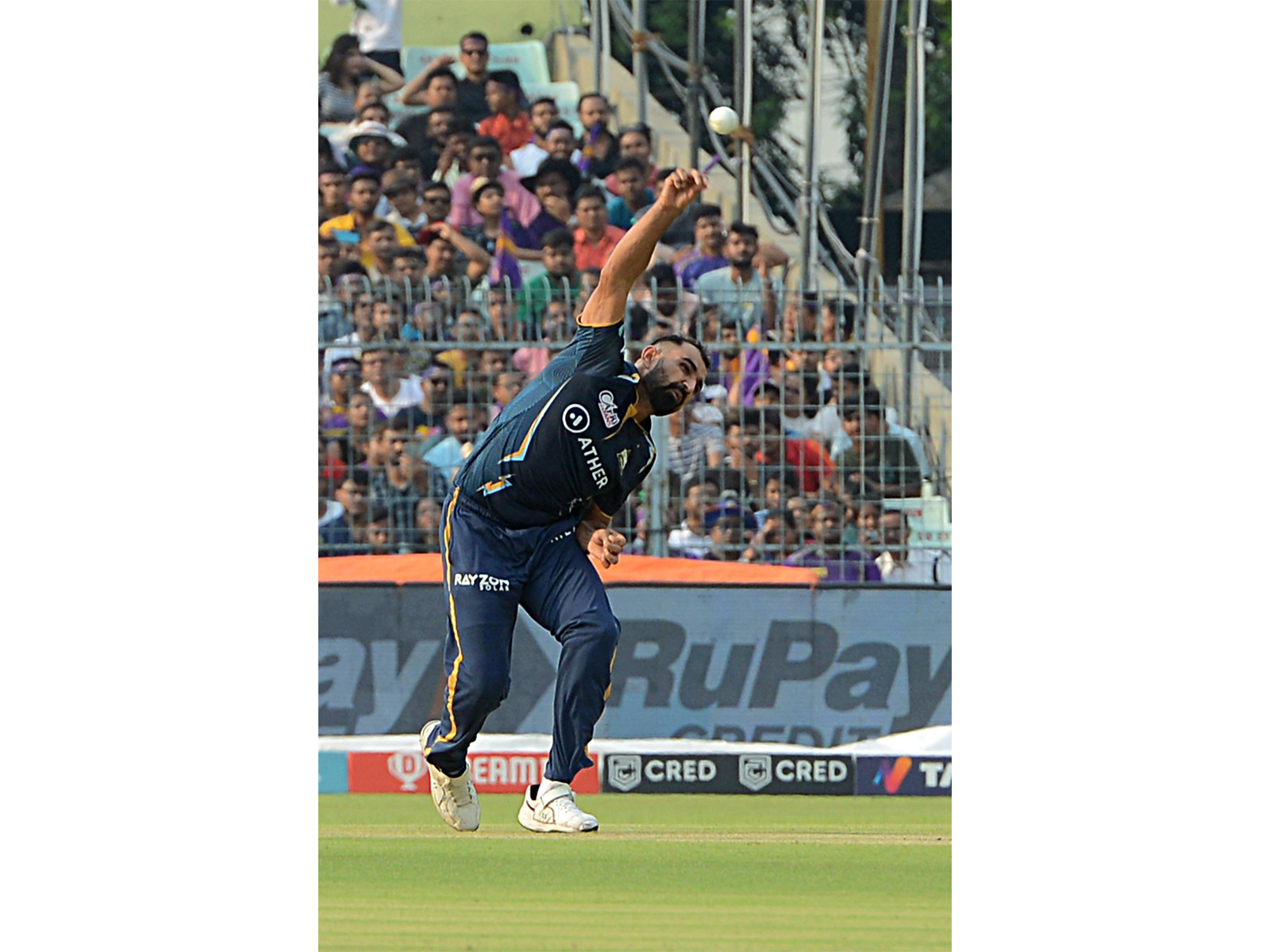 Mohammed Shami. (Photo: ANI)