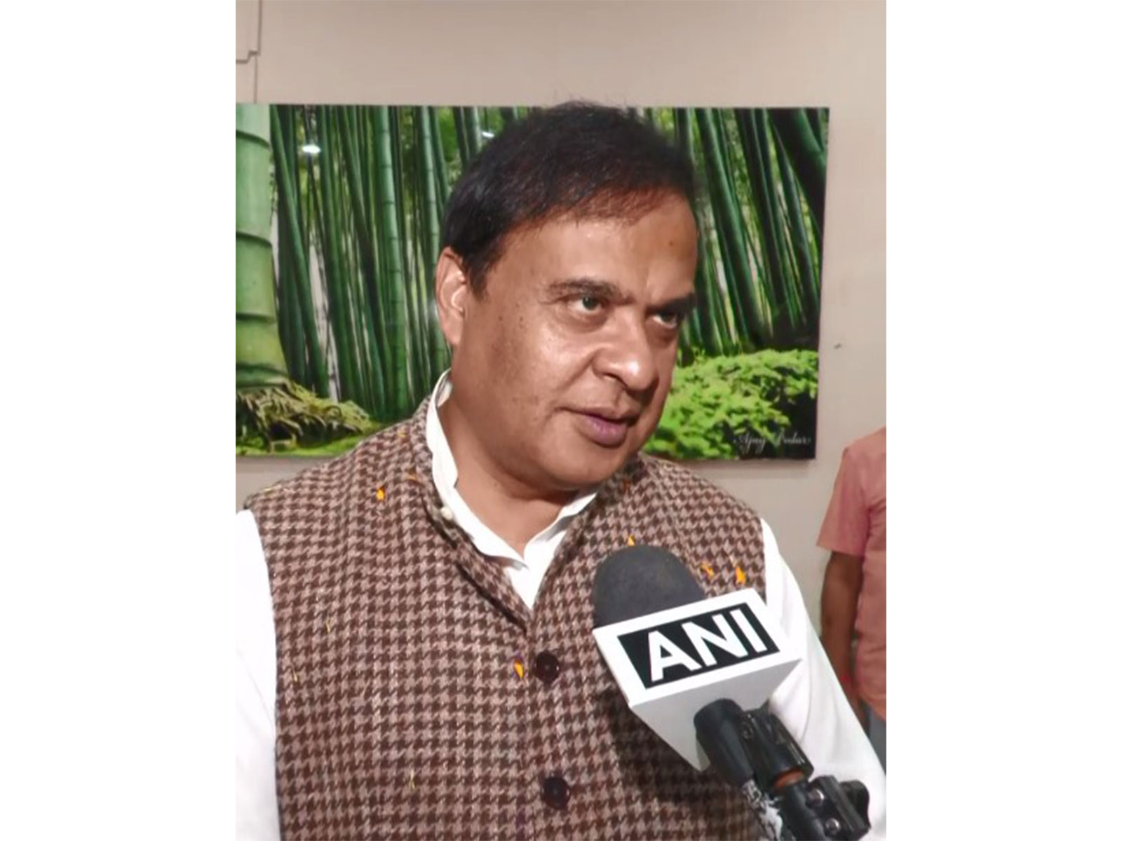 Assam CM Himanta Biswa Sarma (Photo/ANI)