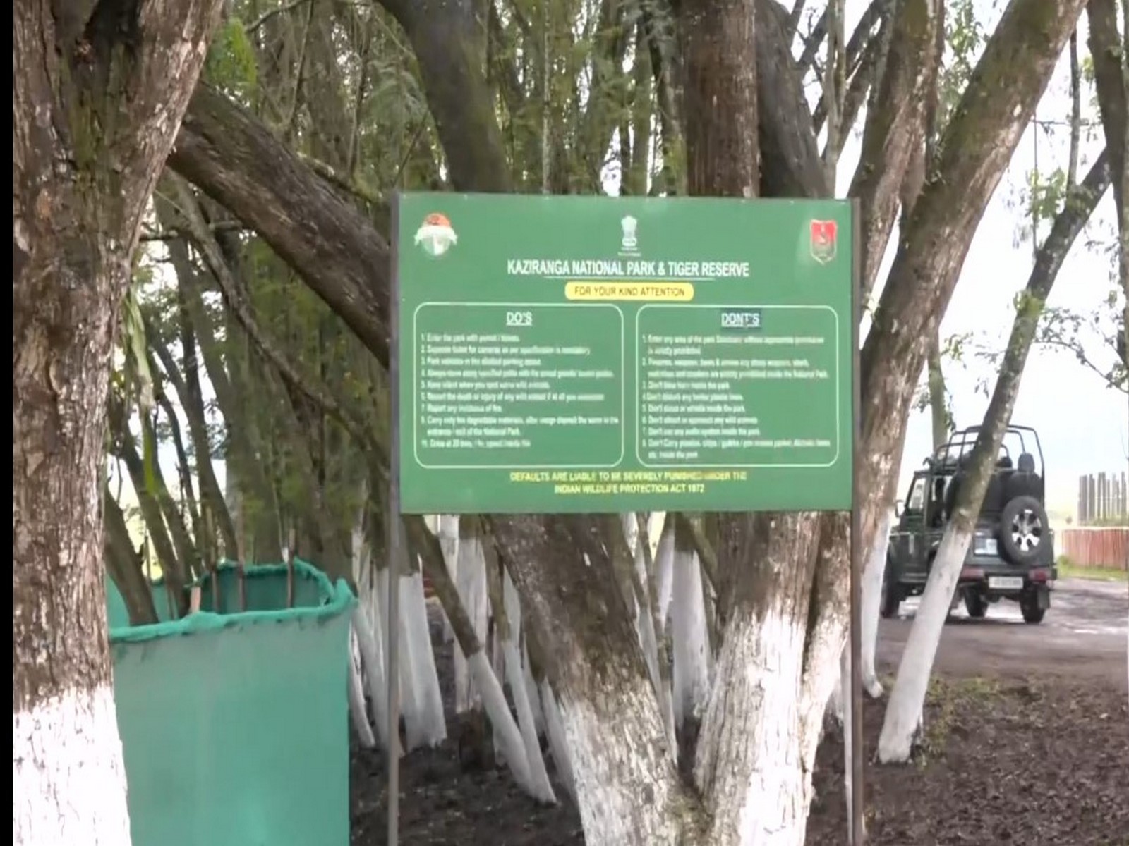 Visual from Kaziranga National Park in Assam (Photo/ANI)