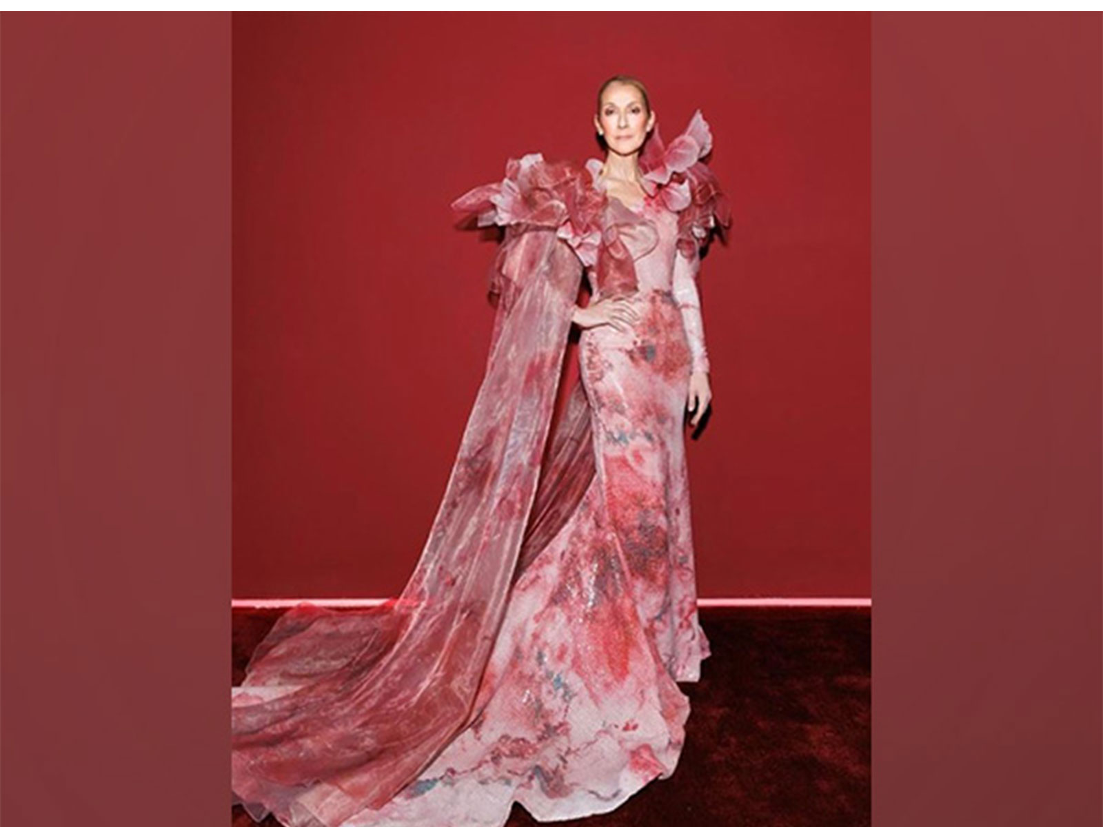 Celine Dion (Photo/Instagram/@celinedion)