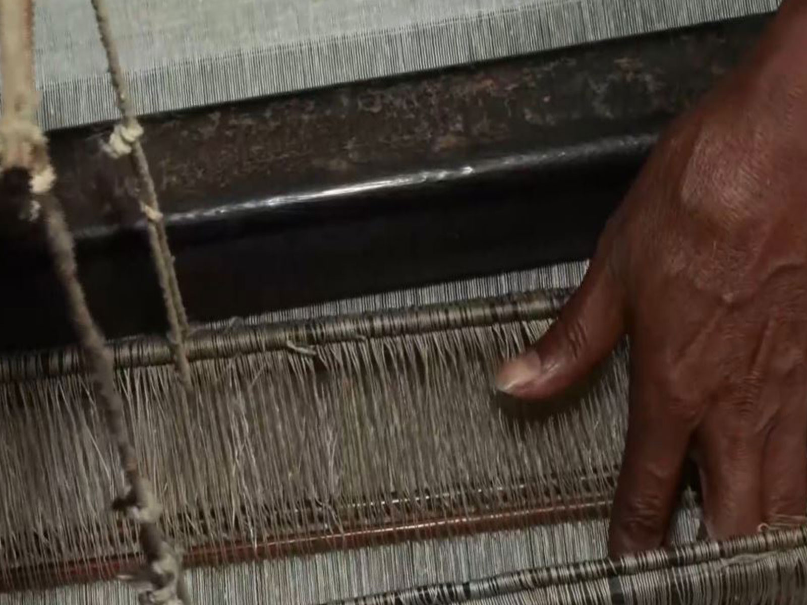 Representative image (Photo/ANI)