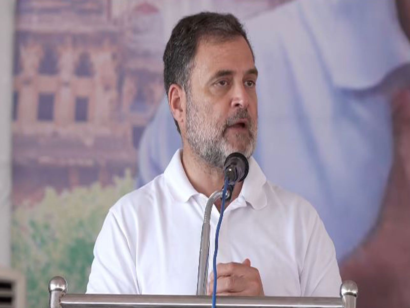 Congress MP Rahul Gandhi in Kannur (Photo/ ANI)