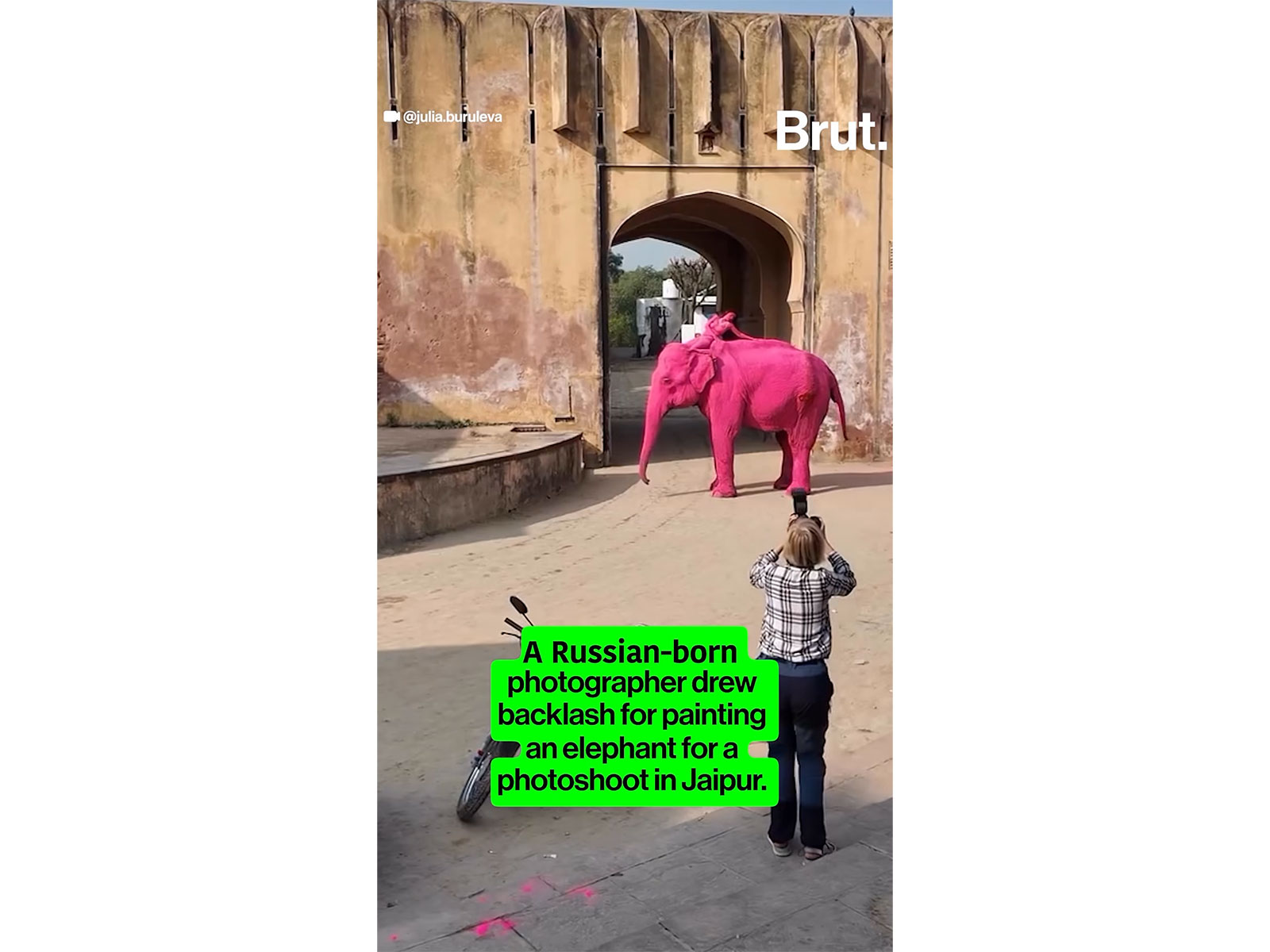 Painted elephant in Amer Fort in Jaipur Photo credit Julia Buruleva/ Brut India