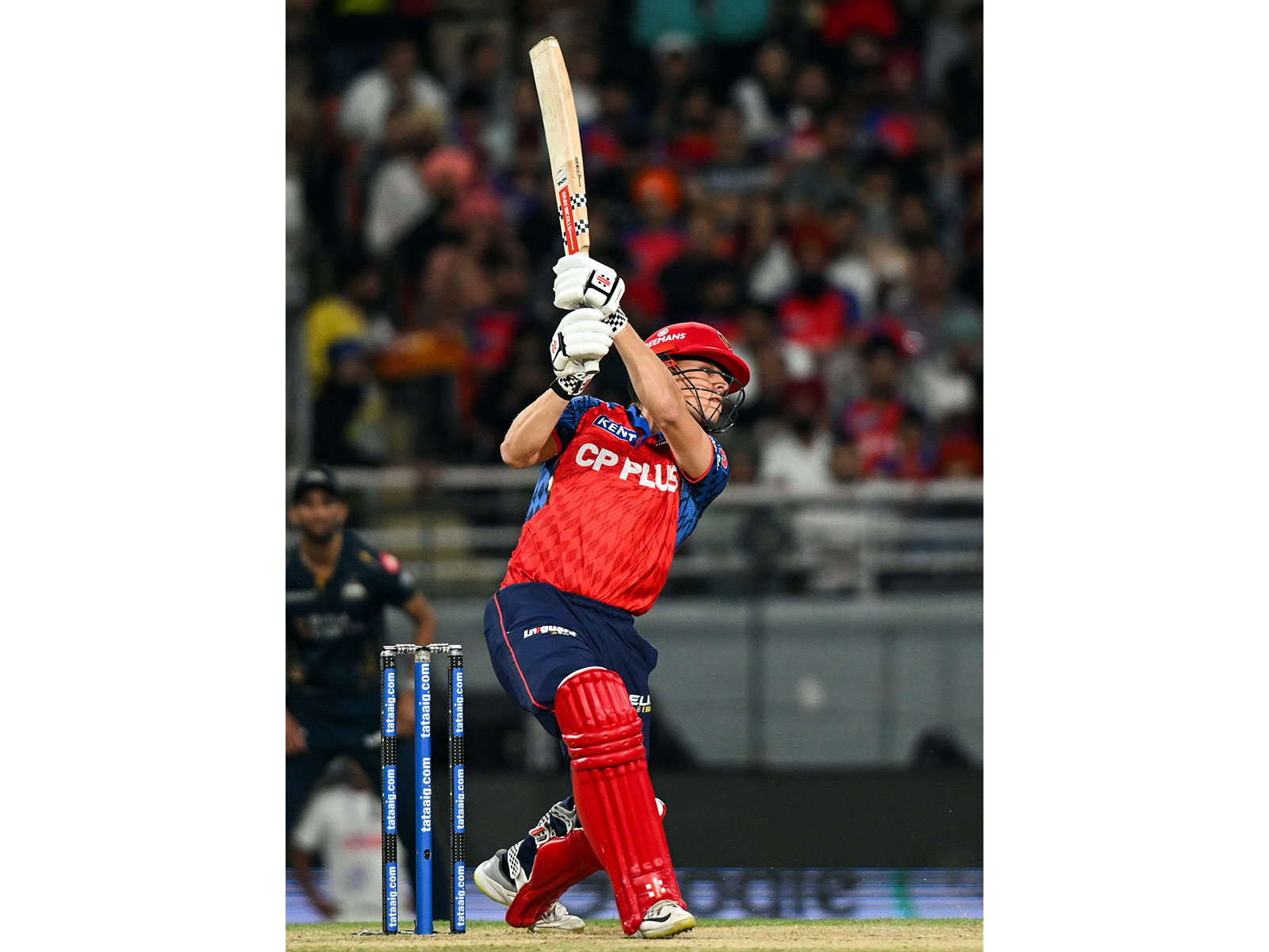 Cooper Connolly (Photo: ANI)