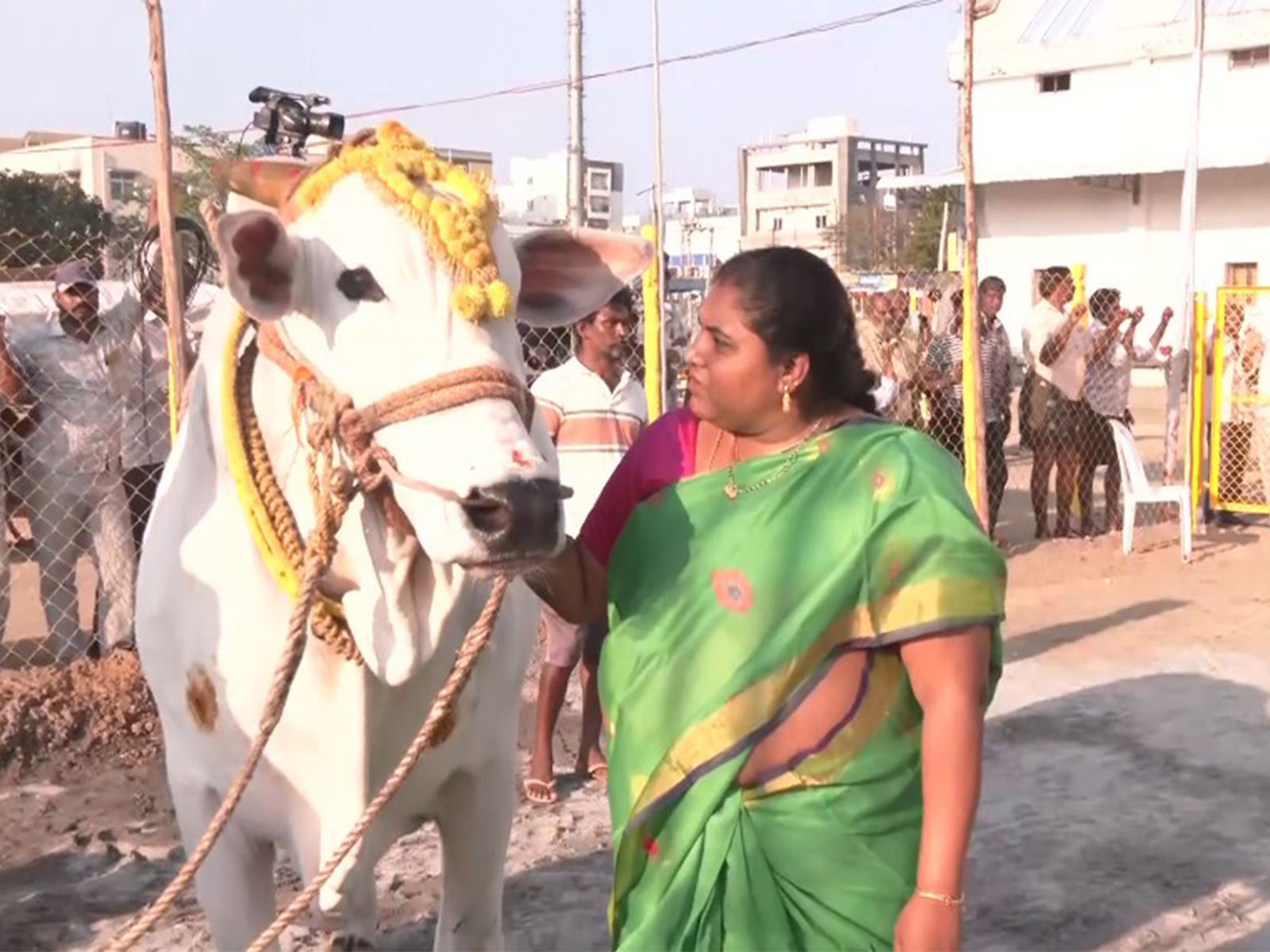Srilakshmi and her bull (Photo/ANI)