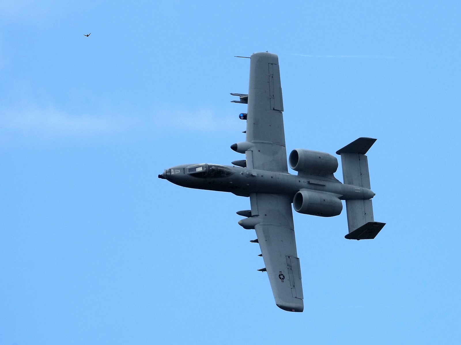 The US Air Force's Fairchild Republic A-10 Thunderbolt II participates in the Summer Shield 2022 military exercise at the Adazi military base in Latvia. (Photo/Reuters)