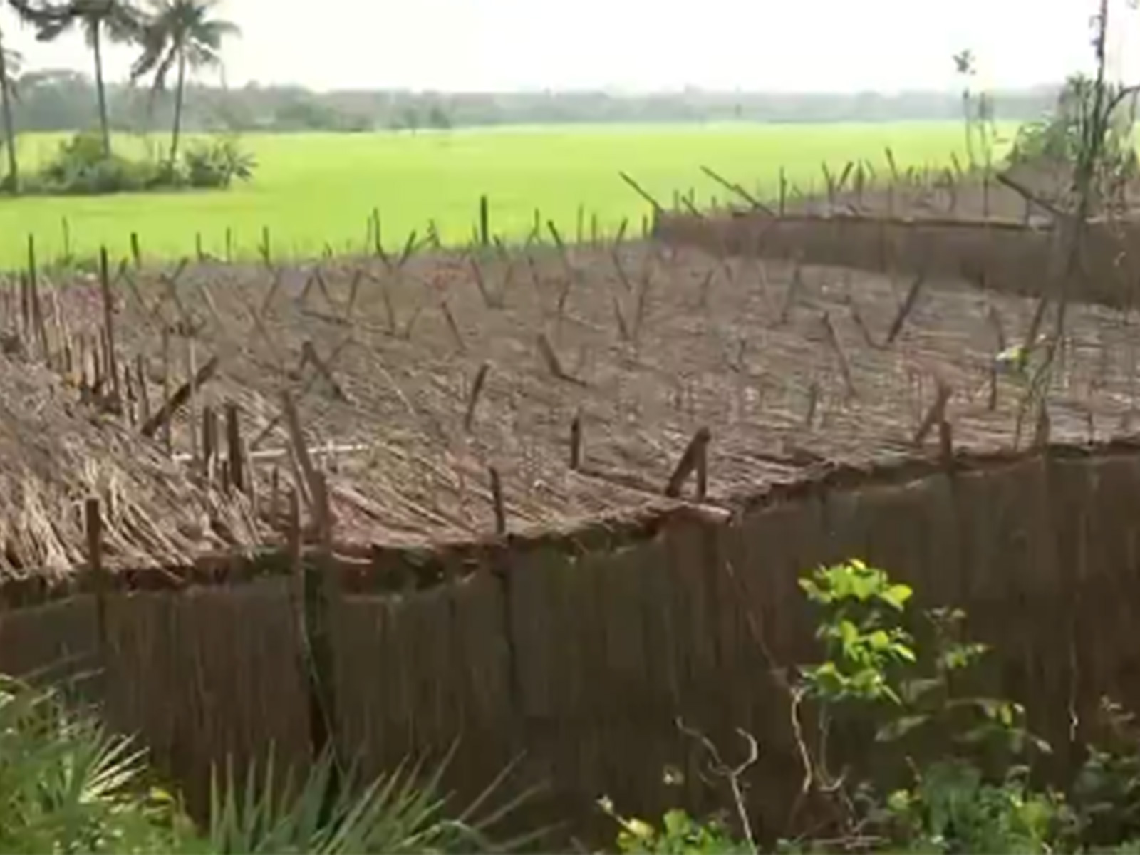 Viusal from Purba Medinipur West Bengal (Photo/ANI)
