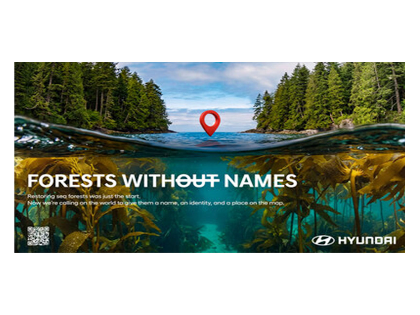 Forests Without Names: Hyundai Motor Brings the World's Hidden Sea Forests Into the Light