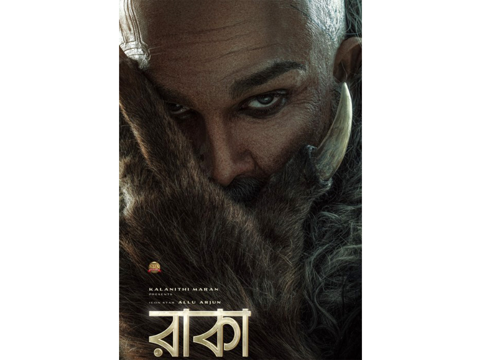 Raaka new poster featuring Allu Arjun (Photo/instagram/@sunpictures)