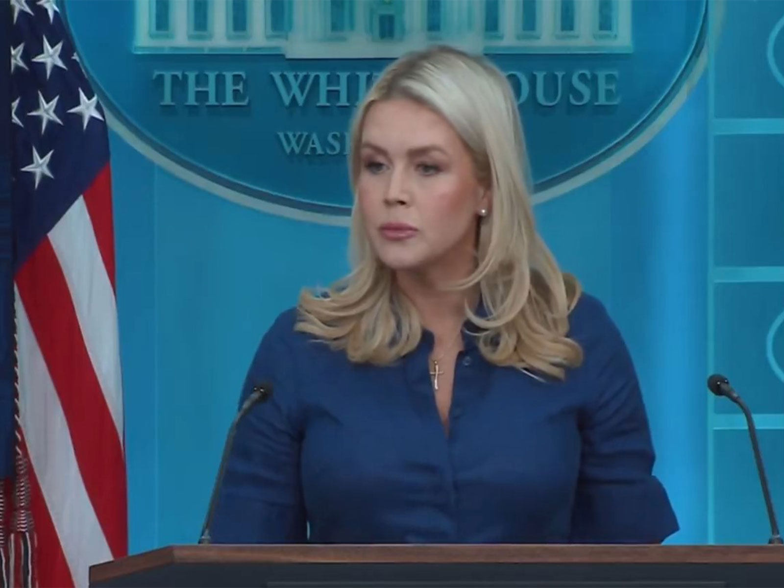 White House Press Secretary Karoline Leavitt (Photo/Youtube of White House)