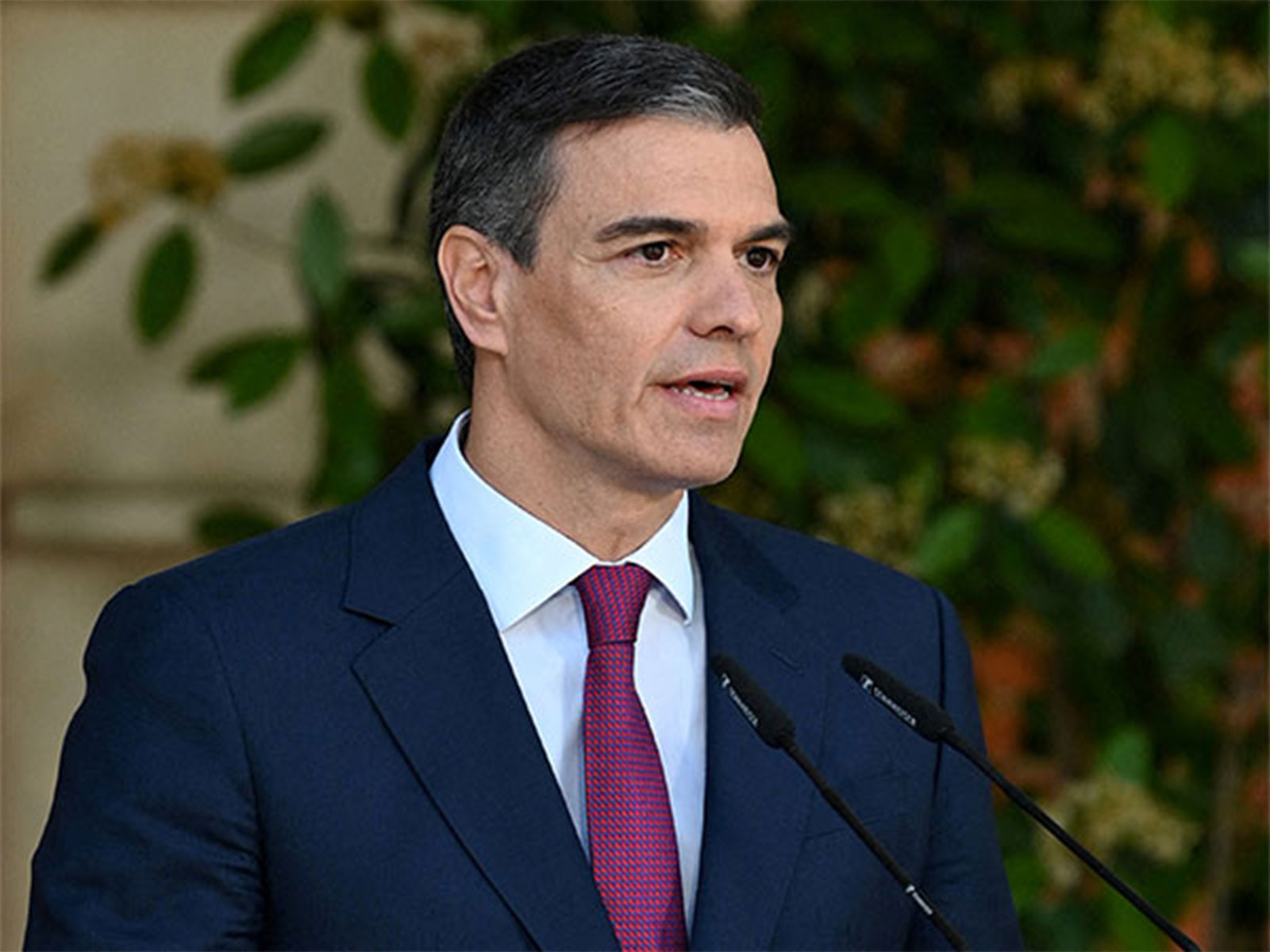 Spain's Prime Minister Pedro Sanchez (Image Credit: Reuters)