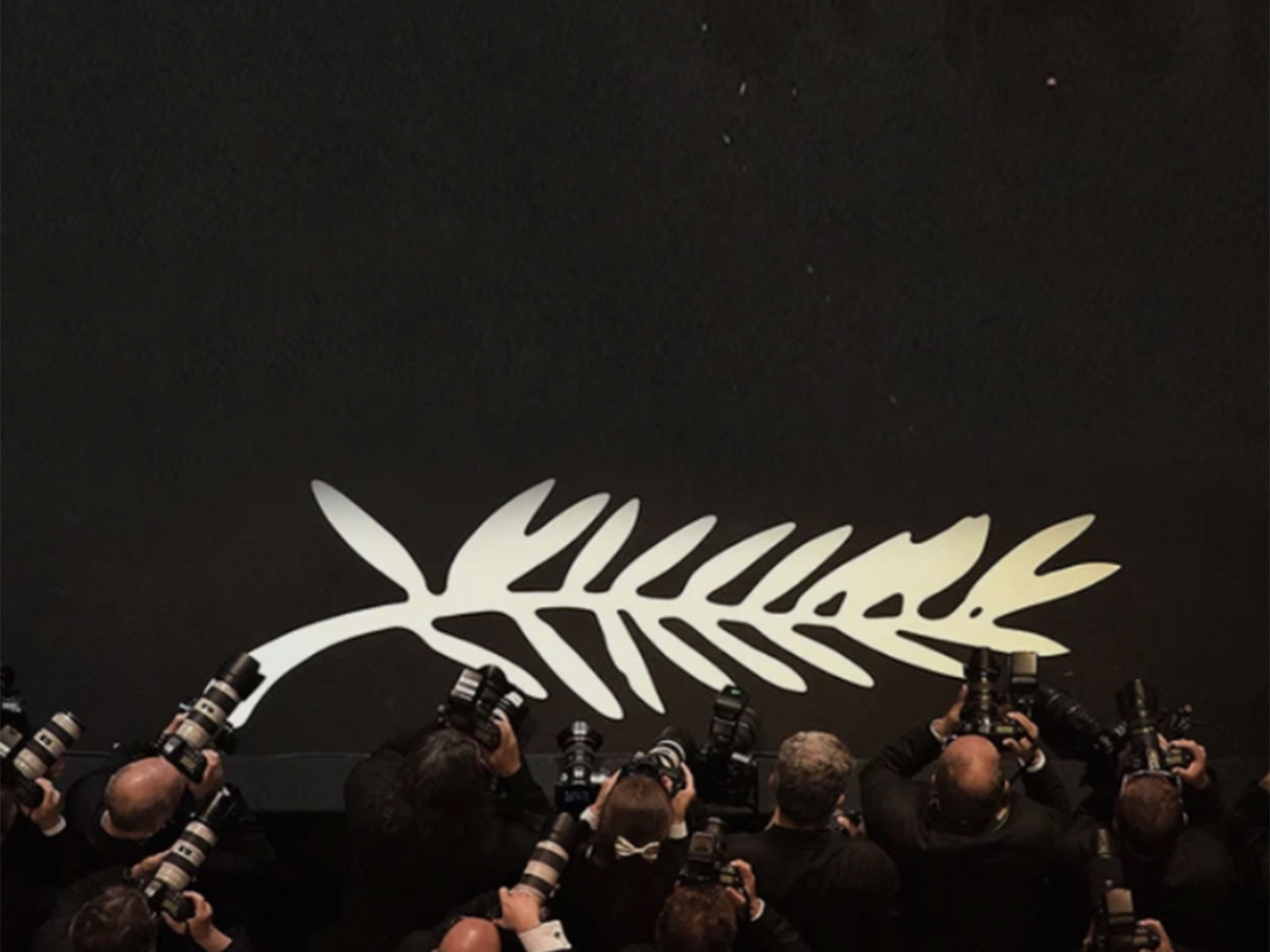 Representative Image (Photo/@FestivaldeCannes)