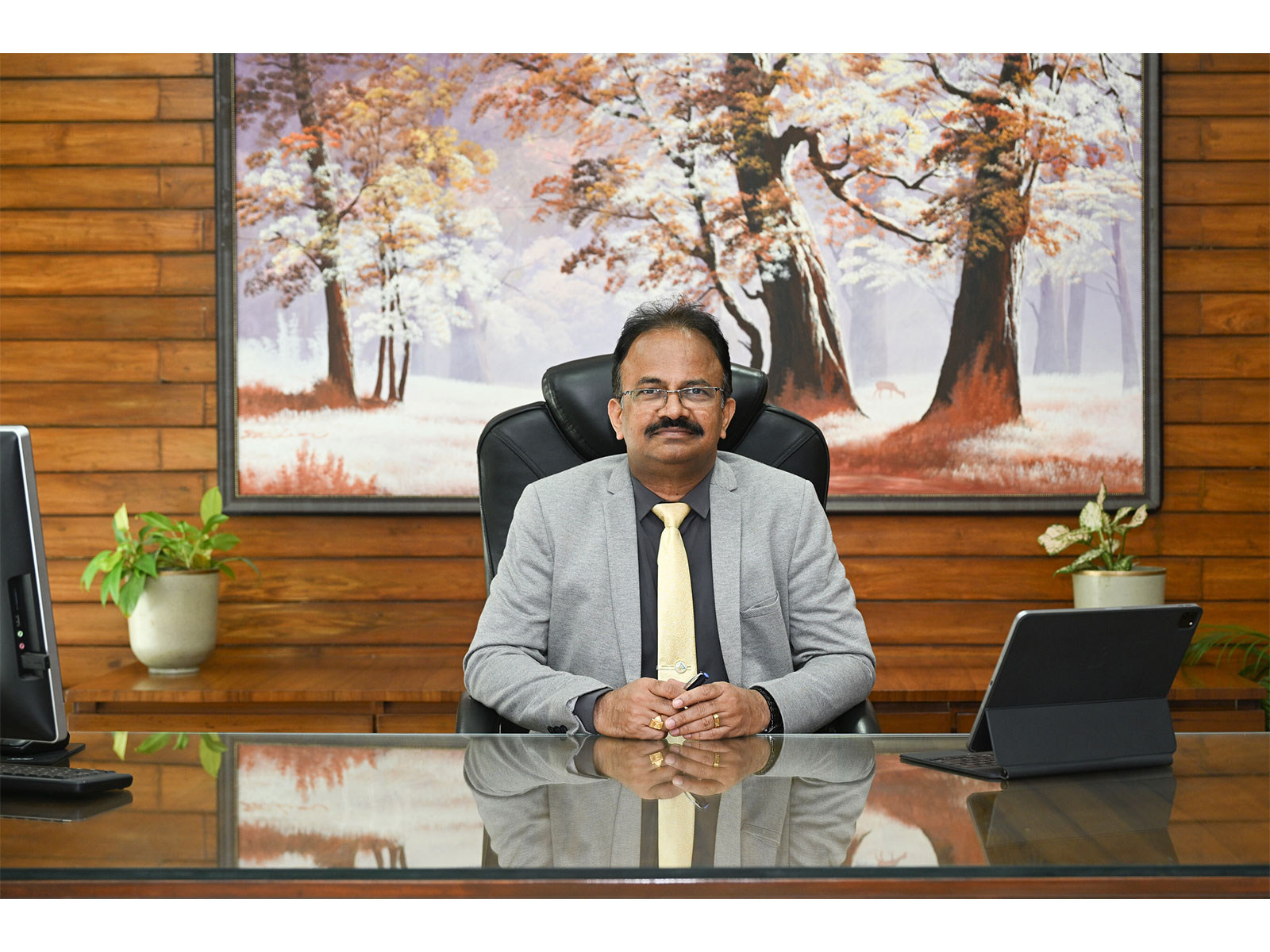 Mr. K. Satyanarayana Raju, Managing Director & Chief Executive Officer, IDPIC