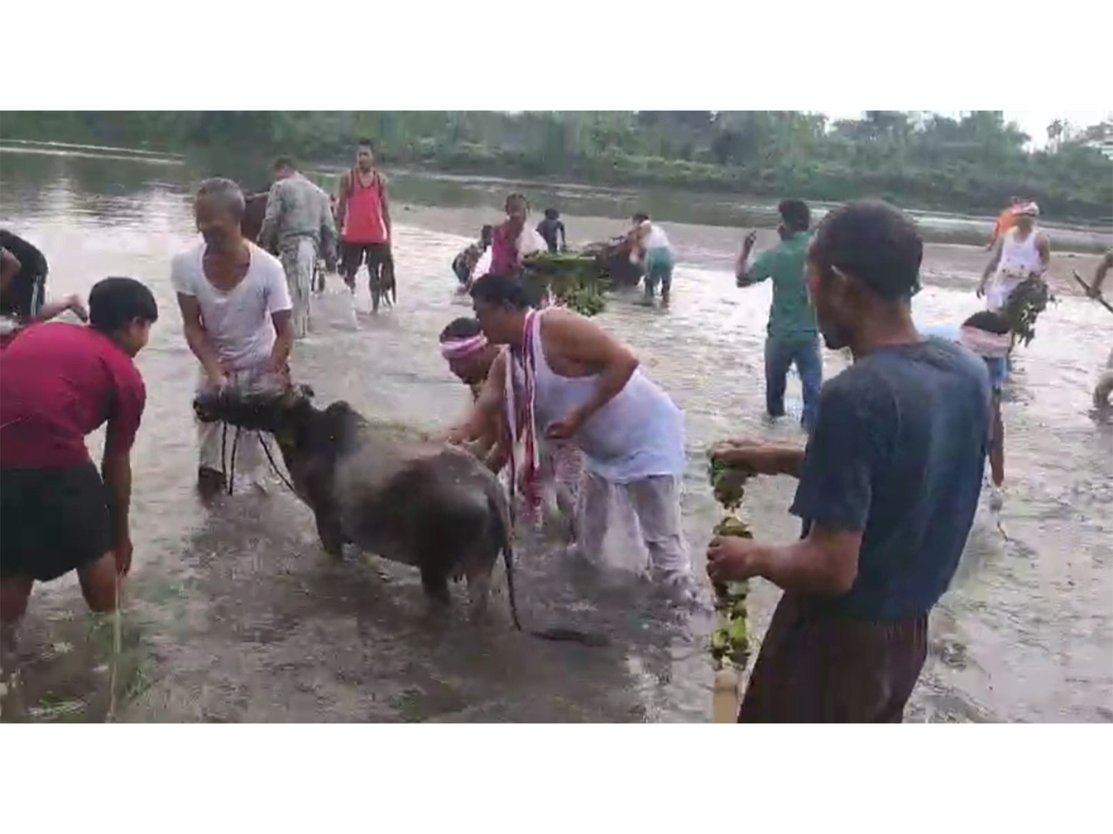Rongali Bihu (Photo/ANI)