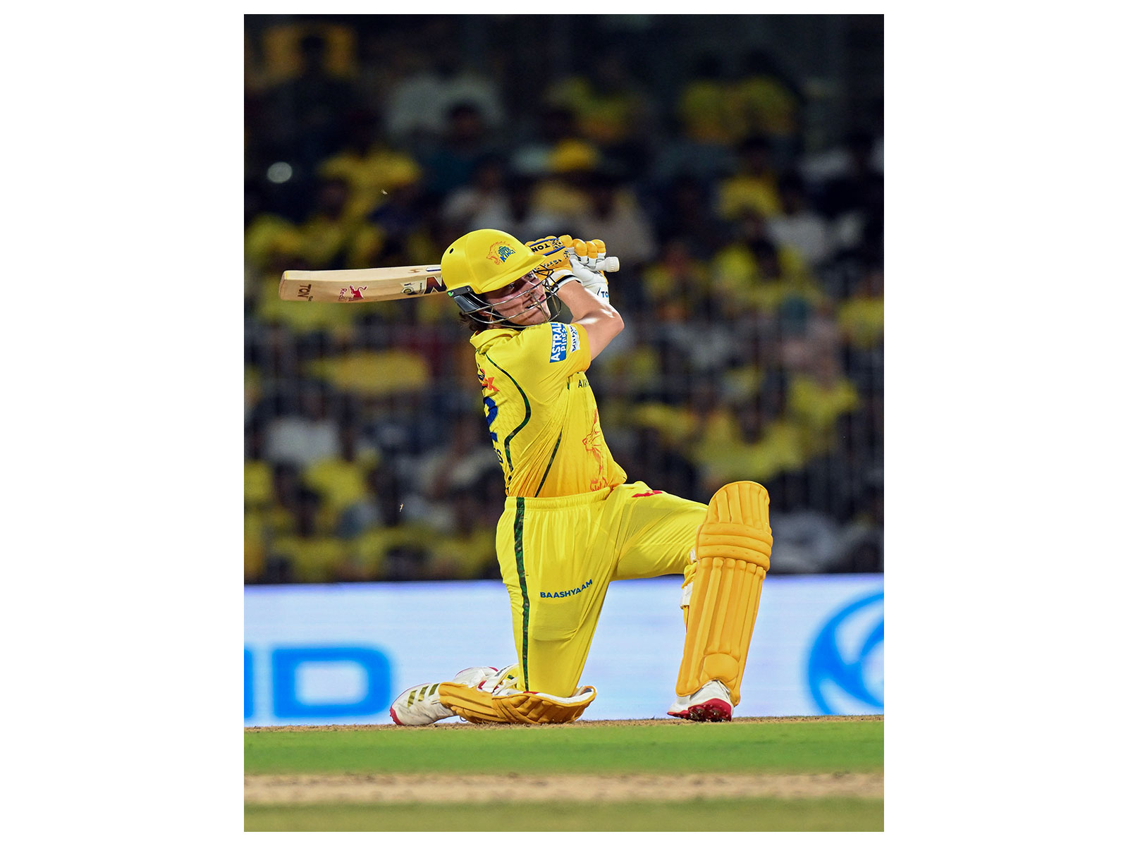 Dewald Brevis (Photo: ANI)