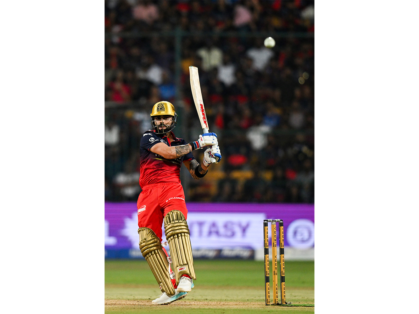 Virat Kohli (Photo: ANI)