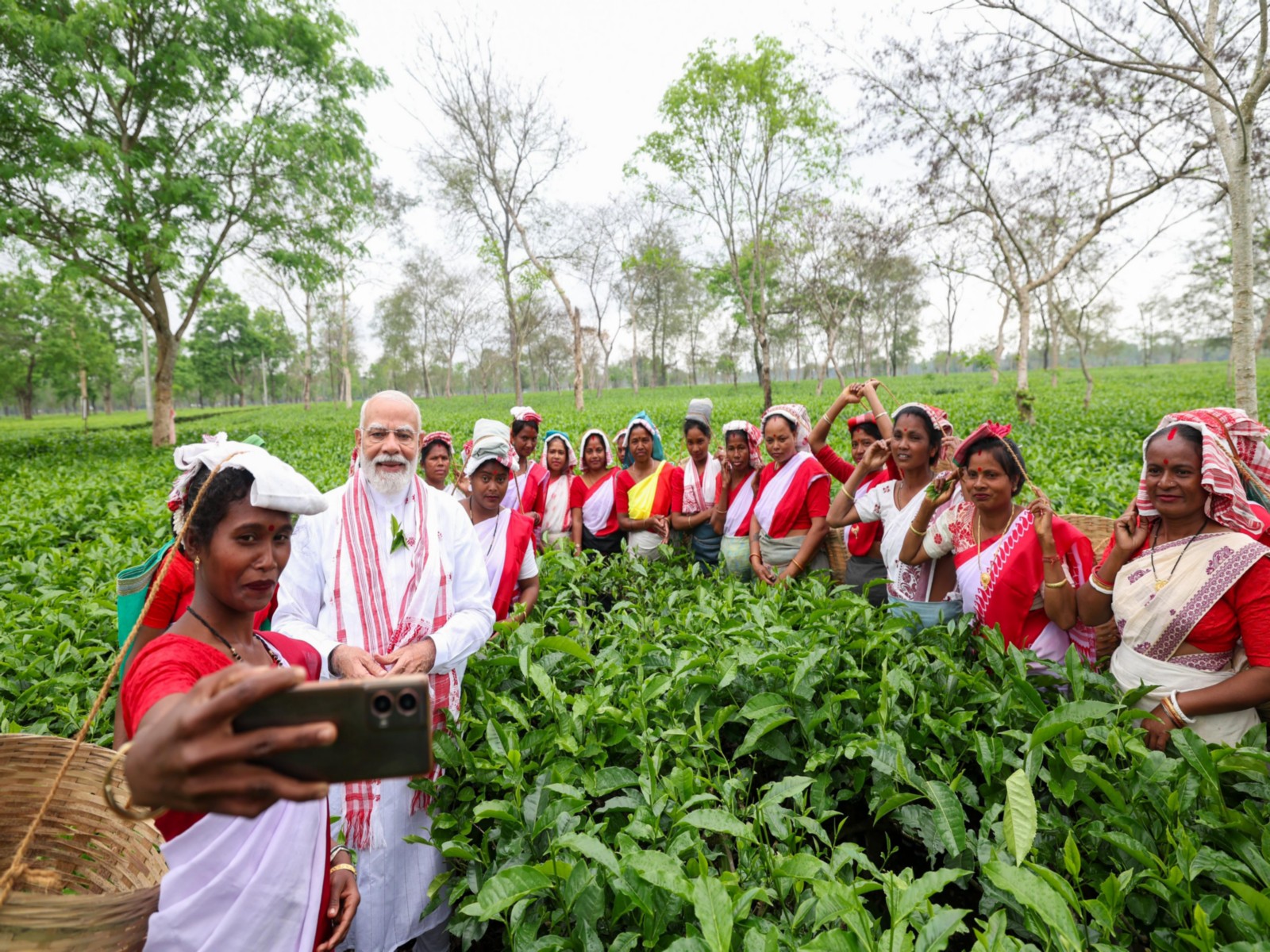 Prime Minister Narendra Modi at a tea garden in Assam (Photo/ANI)