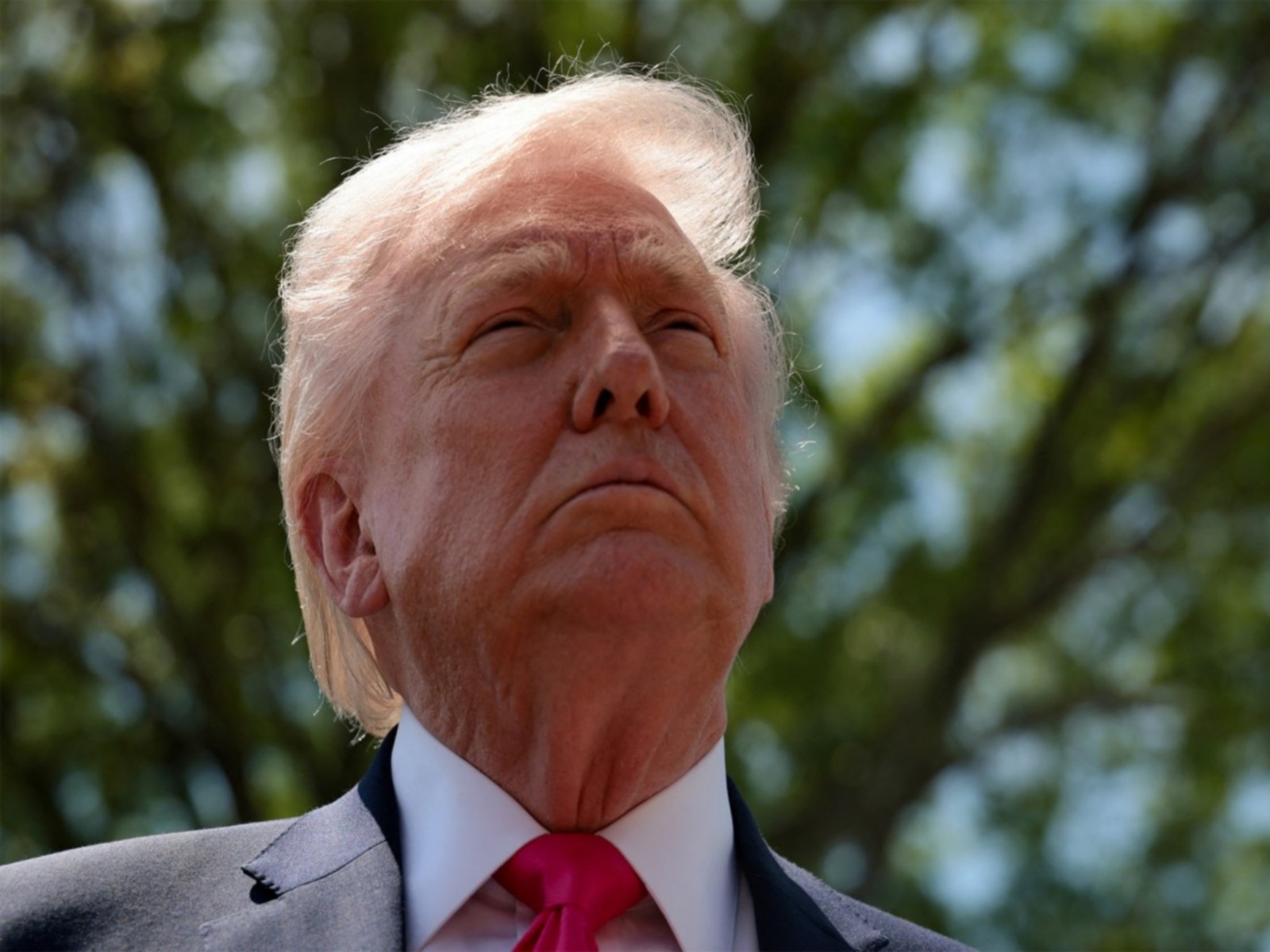 US President Donald Trump (File Photo/Reuters)