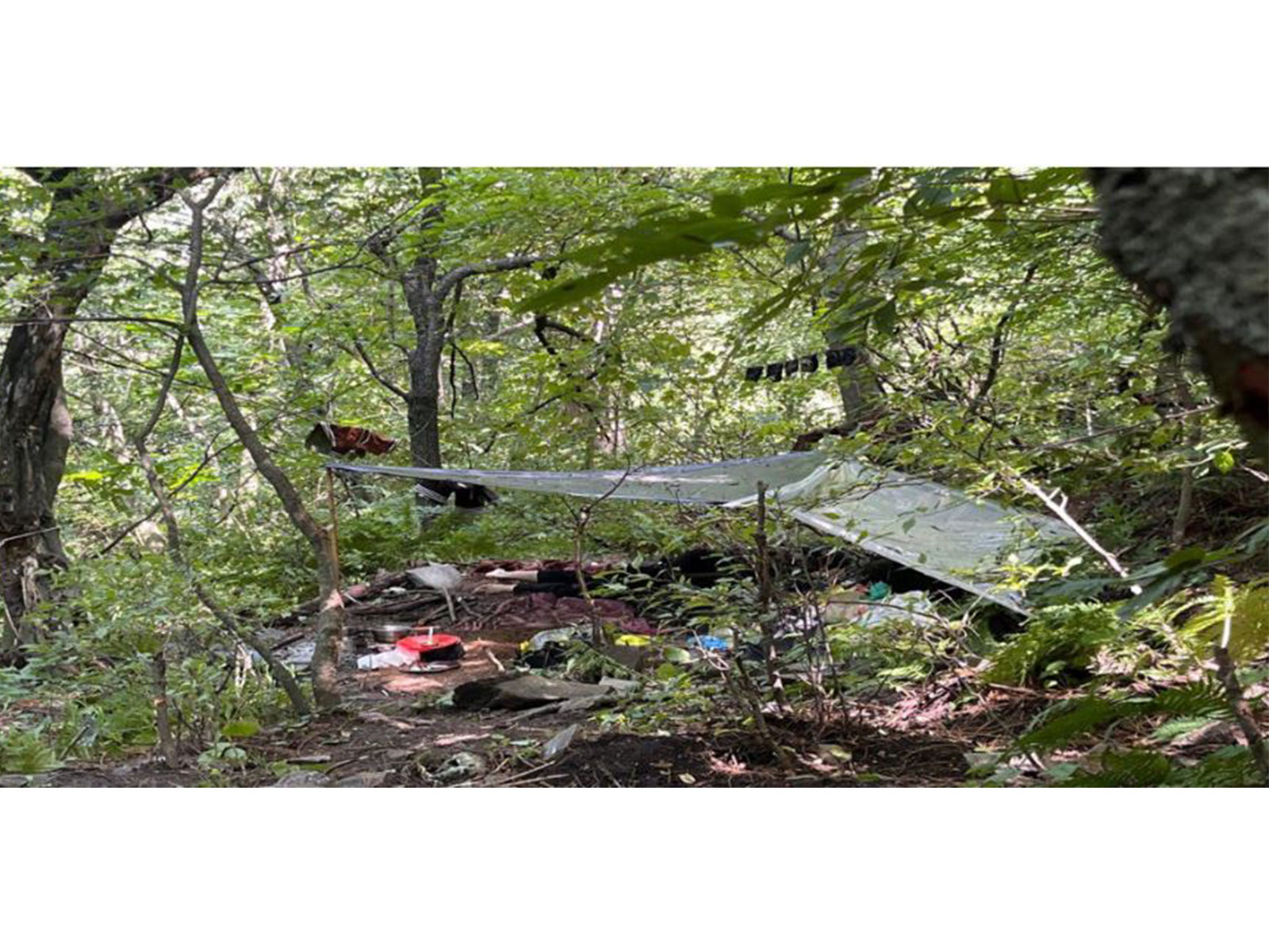  All three terrorists involved in the Pahalgam attack were killed in Op Mahadev