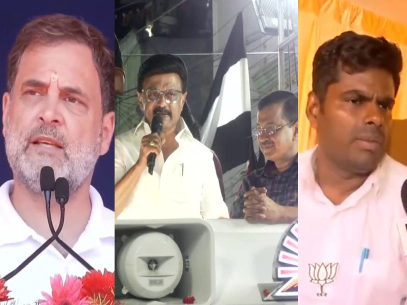 Congress leader Rahul Gandhi, Tamil Nadu CM Stalin with AAP's Arvind Kejriwal and BJP's Annamalai (Photo/ANI)