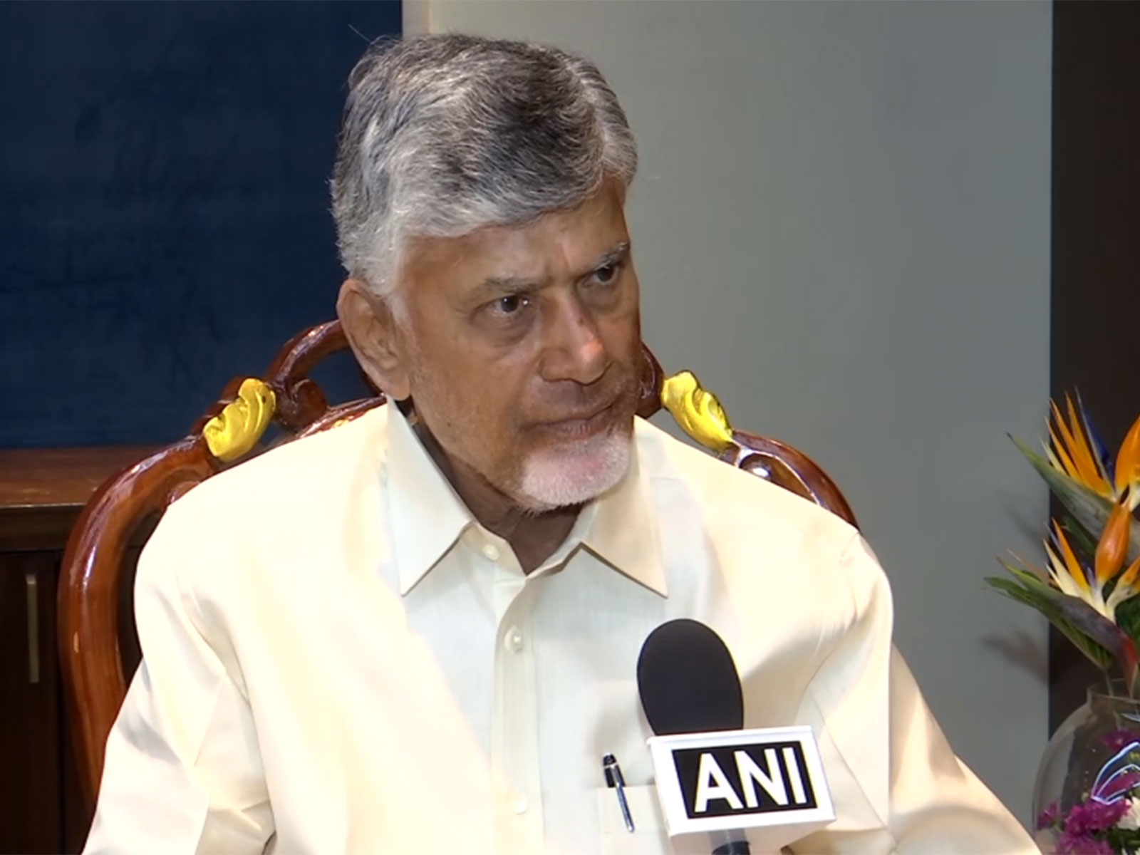 Andhra Pradesh CM Chandrababu Naidu (Photo/ANI)