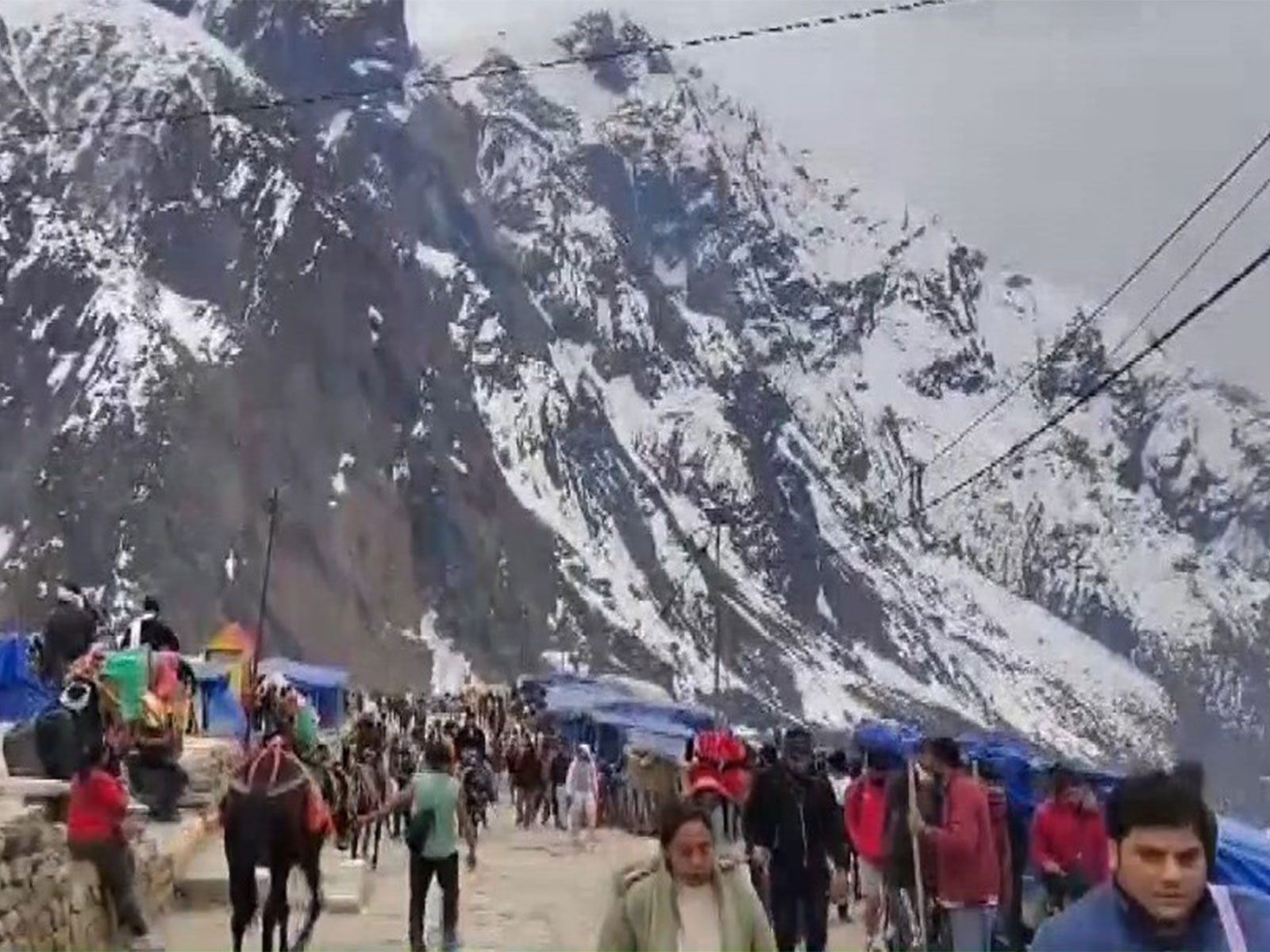 Devotees making their way to shrine (Photo/ANI)