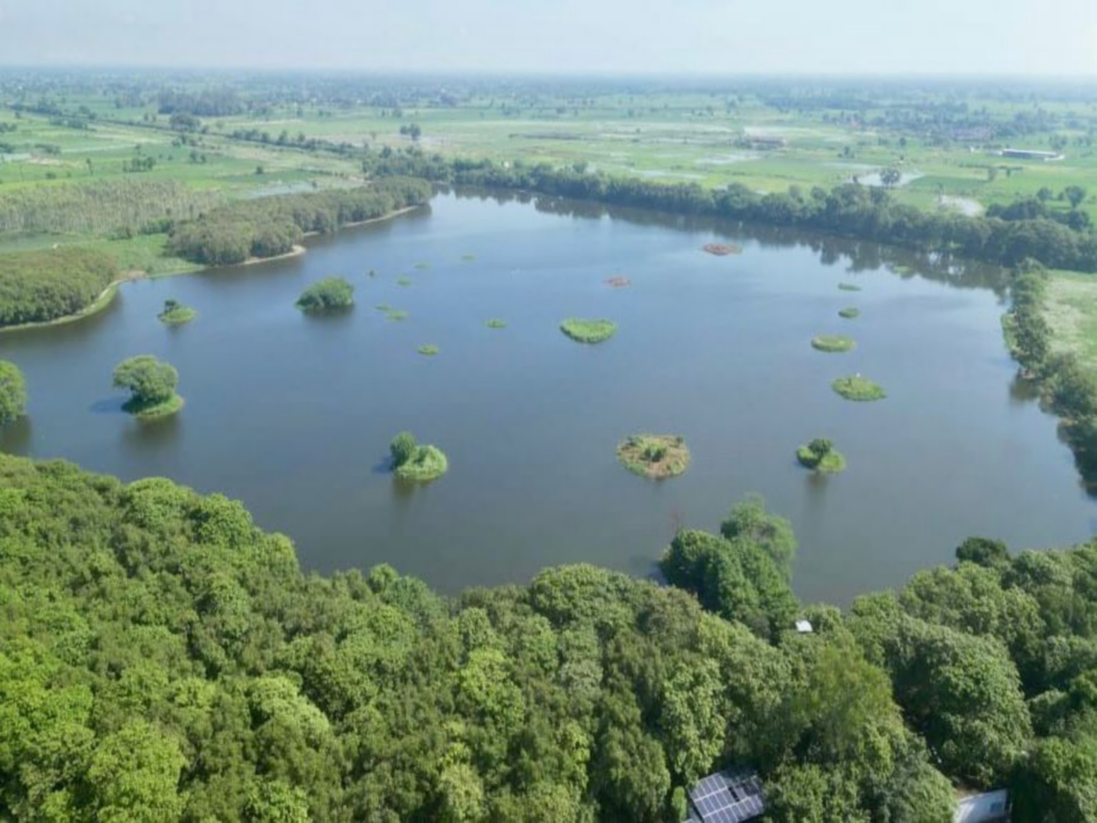 Shekha Jheel Bird Sanctuary in Uttar Pradesh (Photo/ X/ @byadavbjp)