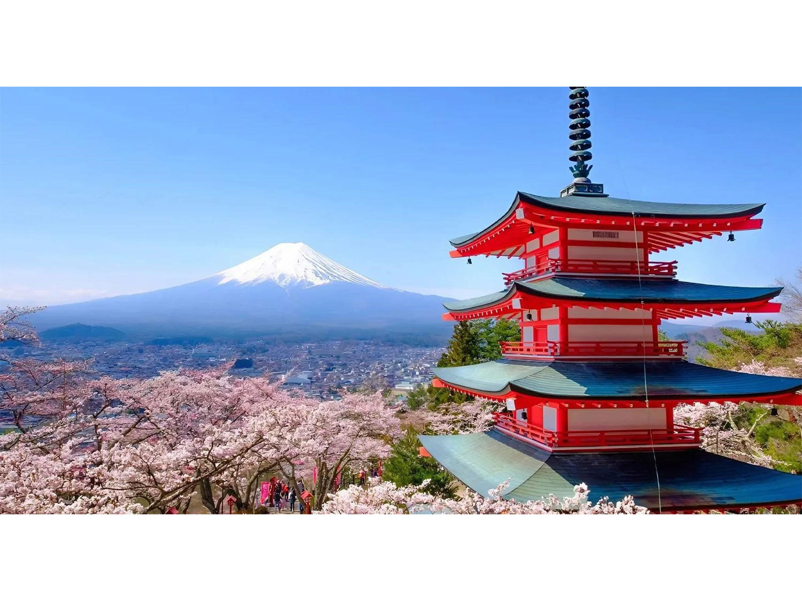 Japan Trip Cost from India: Flights, Hotels, & Daily Expenses Breakdown for Cherry Blossom Season