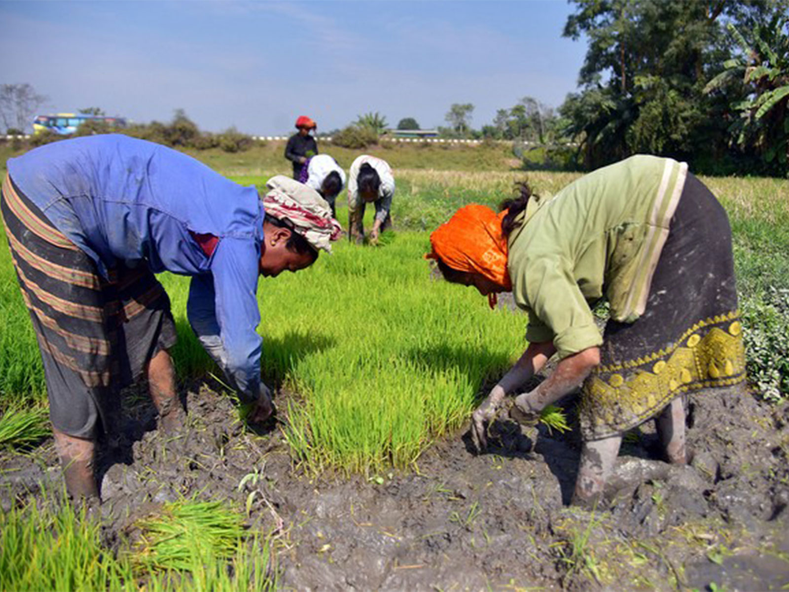 Representative Image (Photo/ANI)