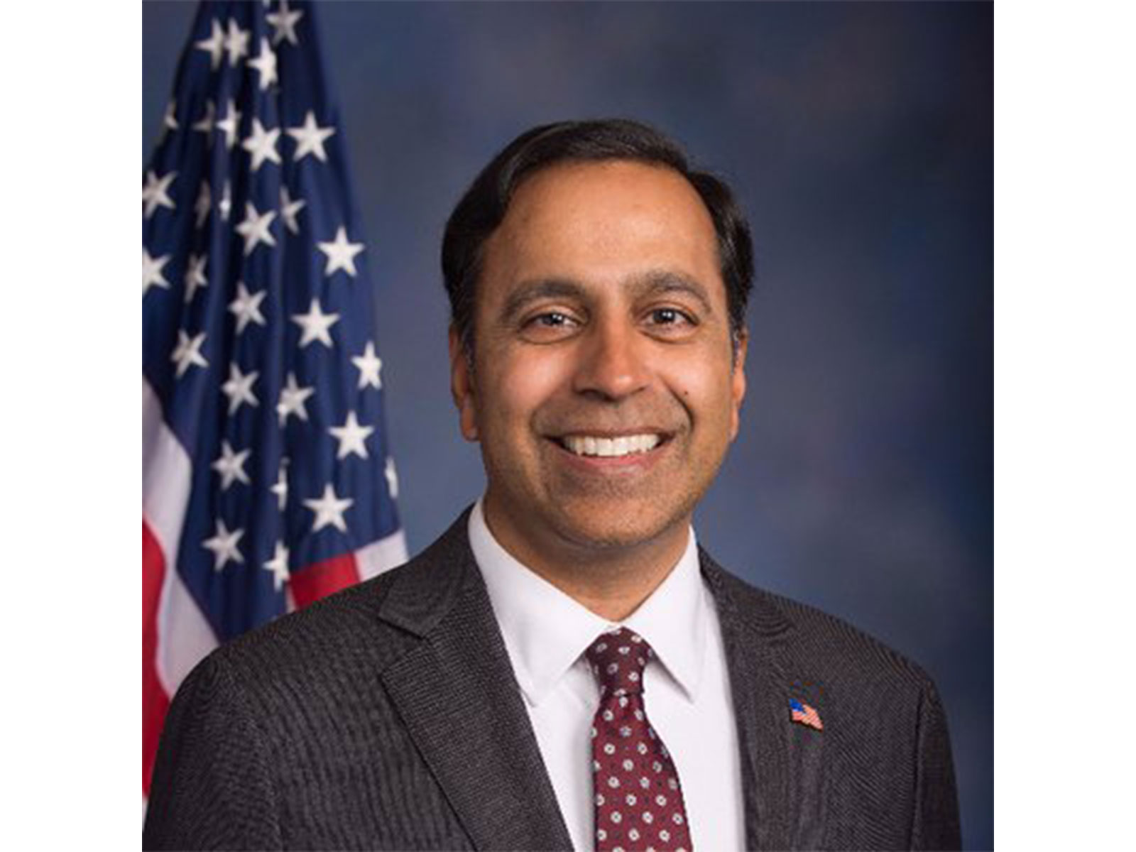  Congressman Raja Krishnamoorthi (Photo/X/@CongressmanRaja)