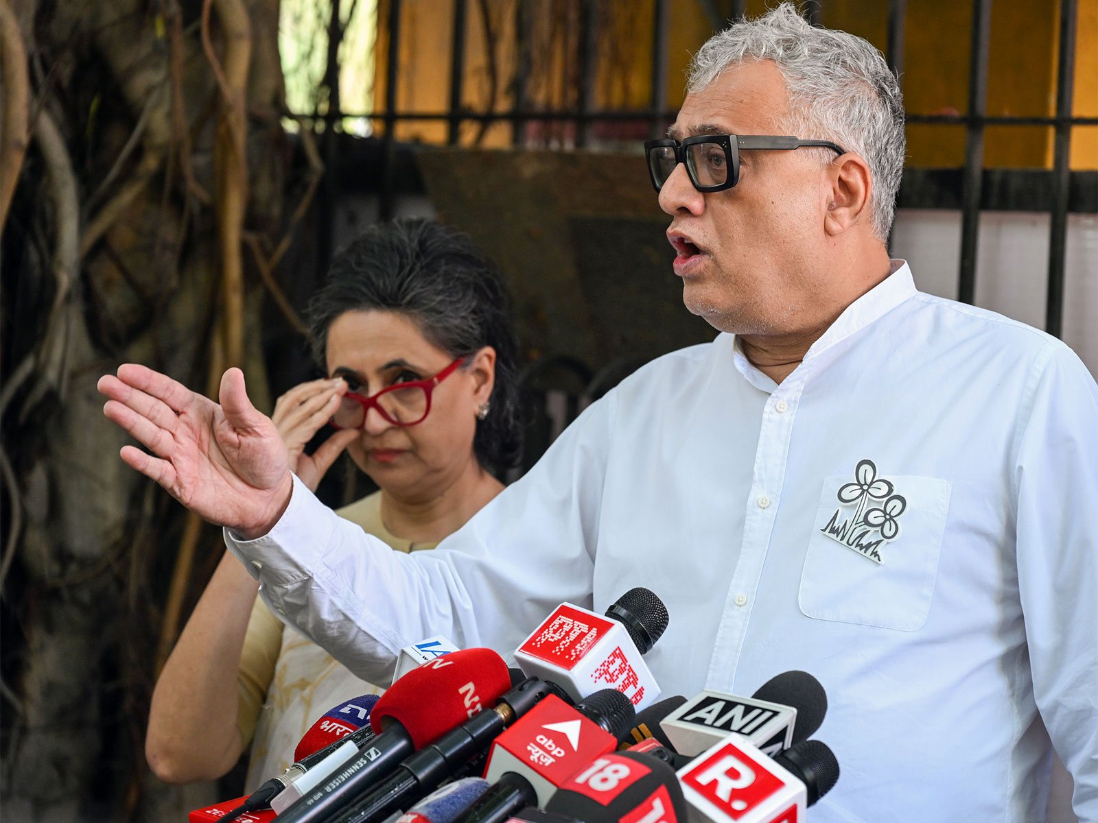 TMC MP Derek O'Brien (File photo/ANI)