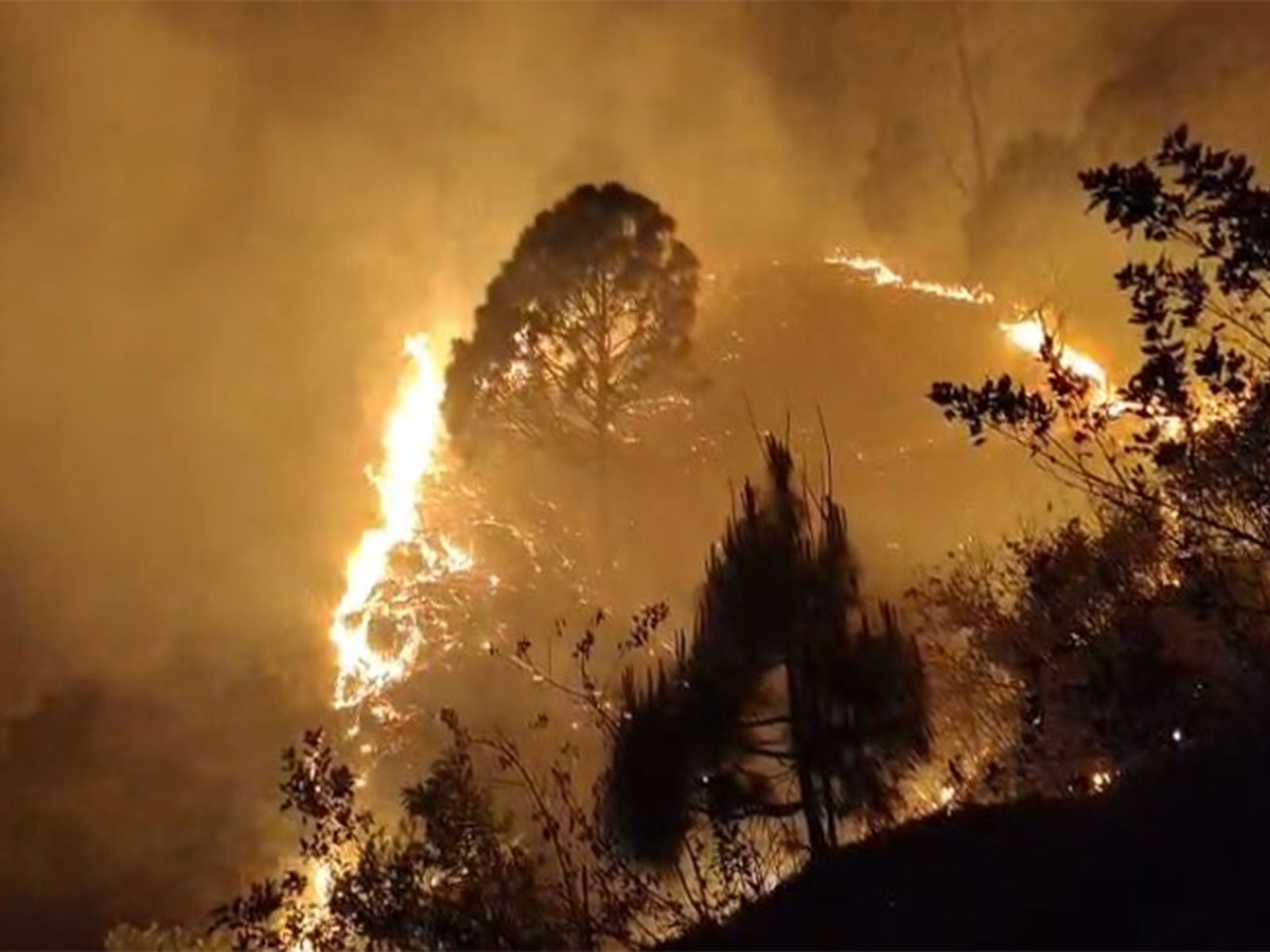 Forest fires surge in Rudraprayag (Photo/ANI) 