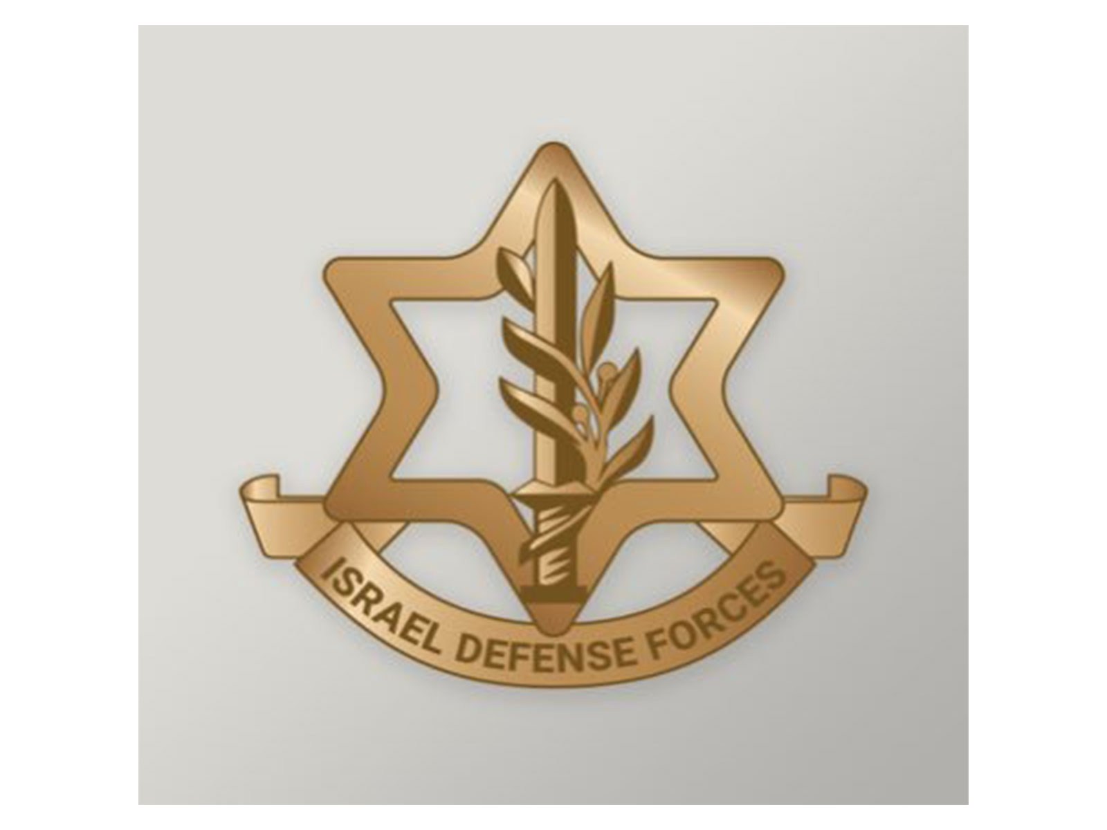 Representative Image (Photo/ X@IDF)