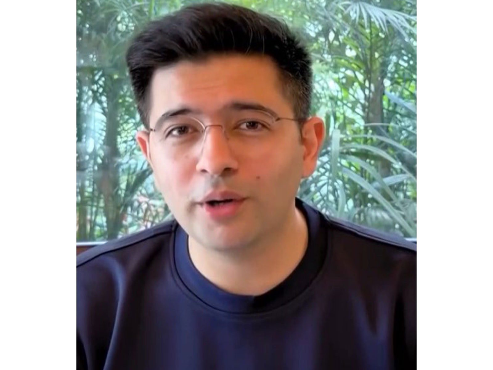 BJP Raghav Chadha (Photo/Social Media)