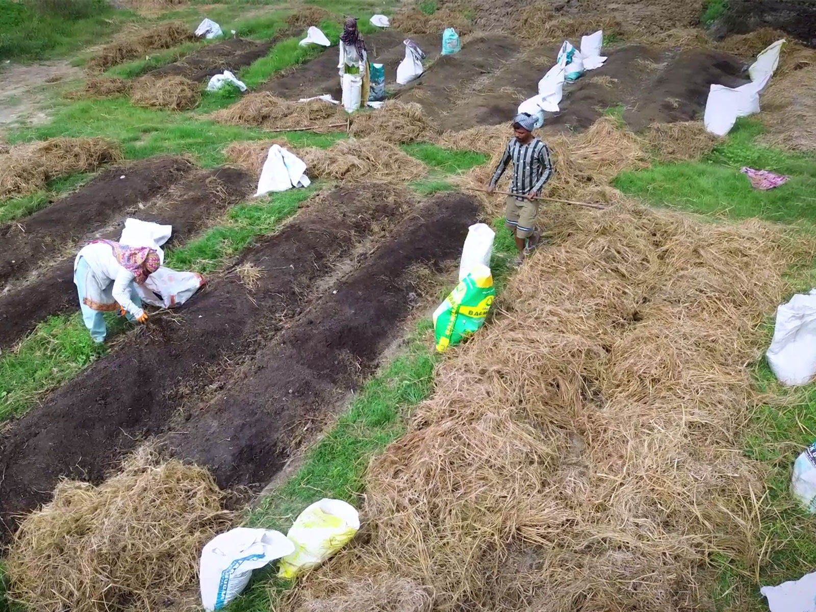 India's farming moves beyond tradition to smart agriculture (Photo/ANI)