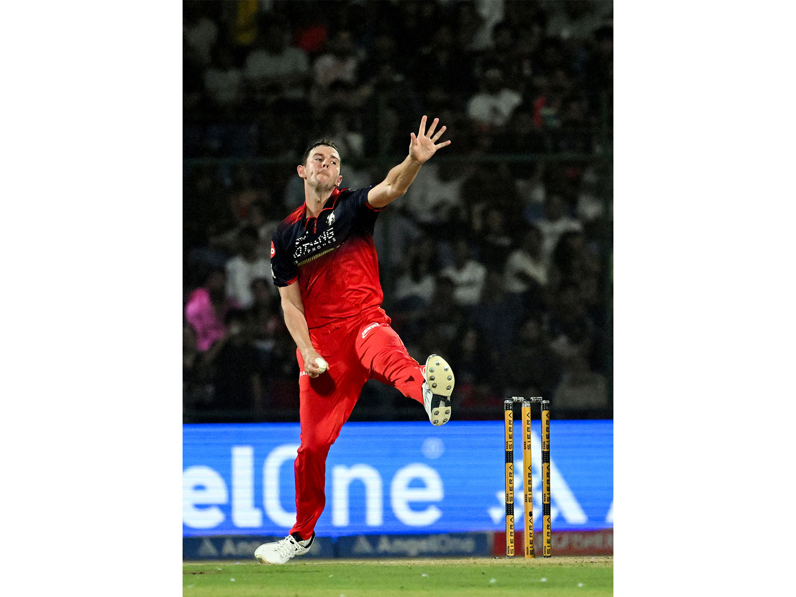 Josh Hazlewood. (Photo: ANI)
