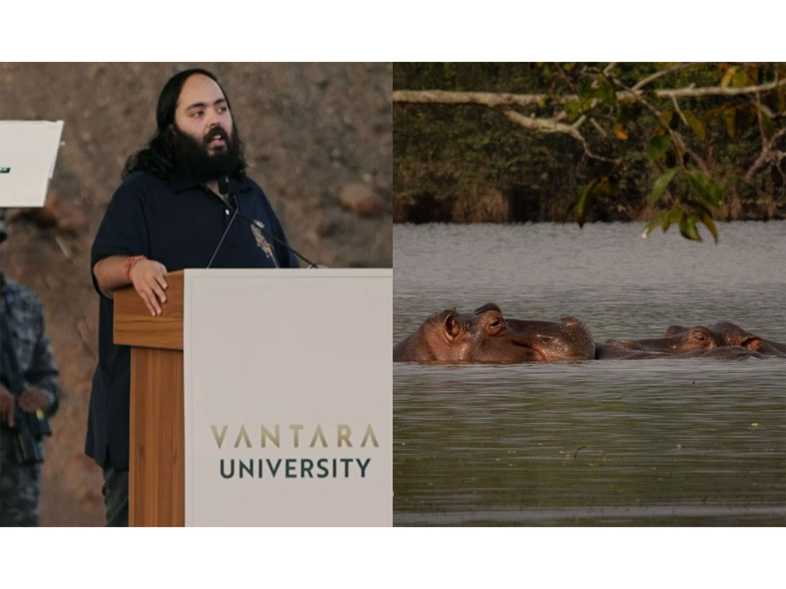 Anant Ambani urges to save hippos in Colombia (Photo/@Vantara)