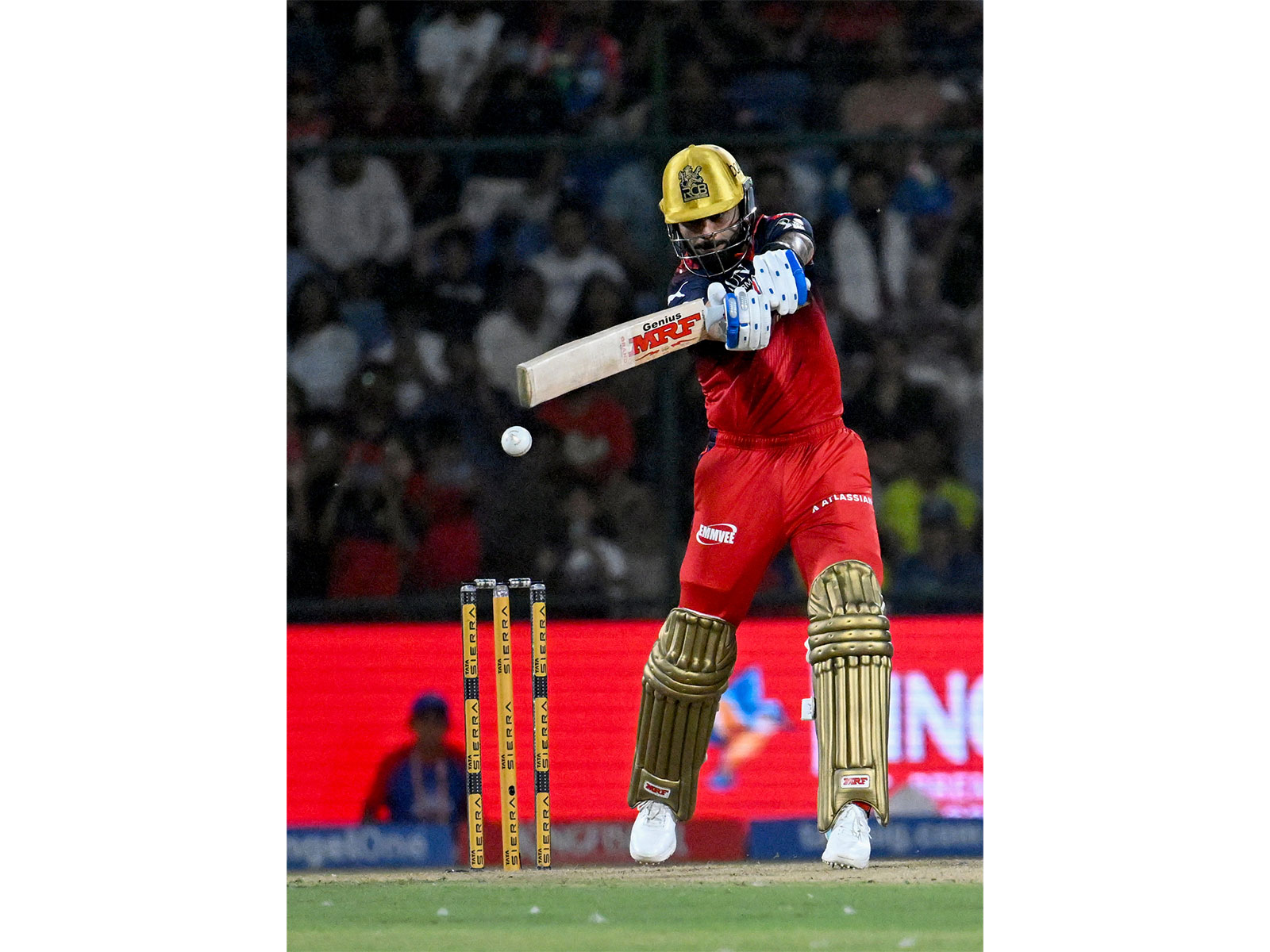 RCB opener Virat Kohli in action (Photo: ANI)