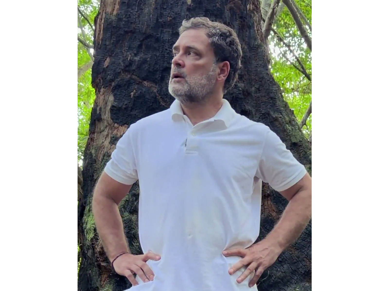 Congress leader Rahul Gandhi (Photo/ANI)