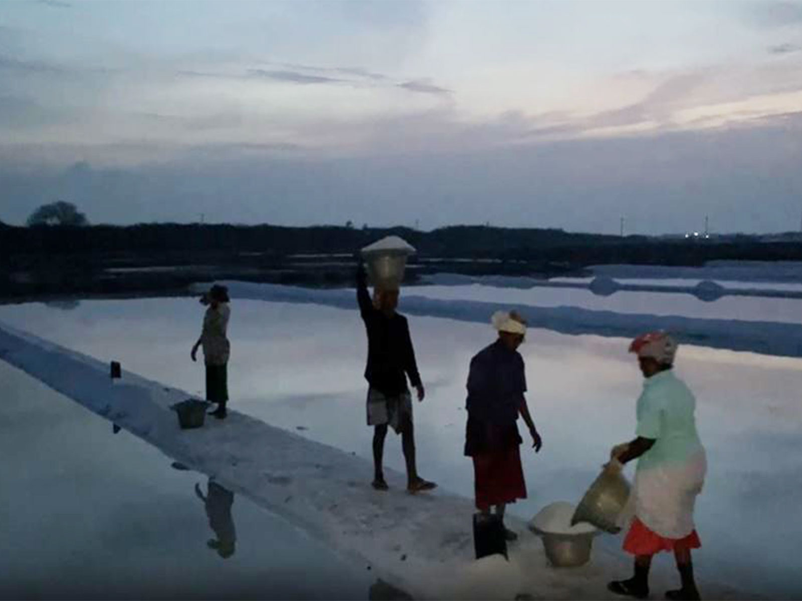 Salt pan workers working at 1 am (Photo/ANI)
