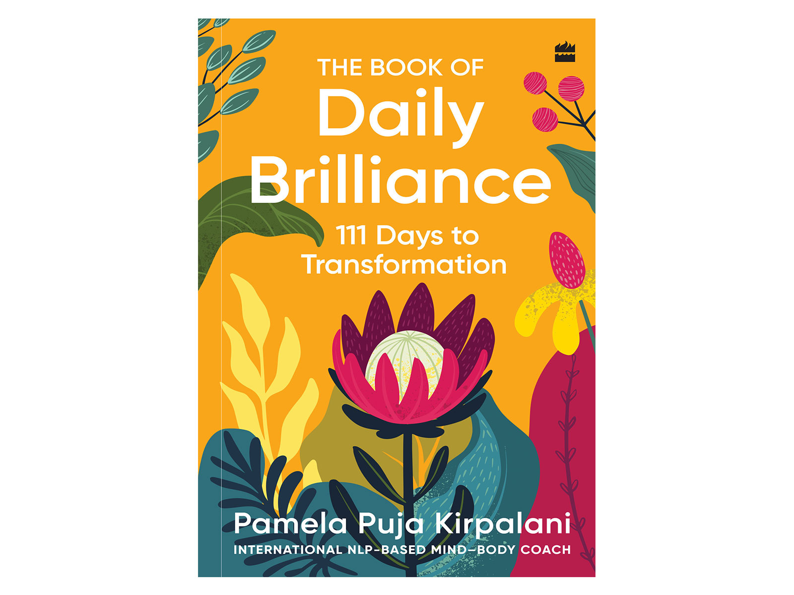 The Book of Daily Brilliance