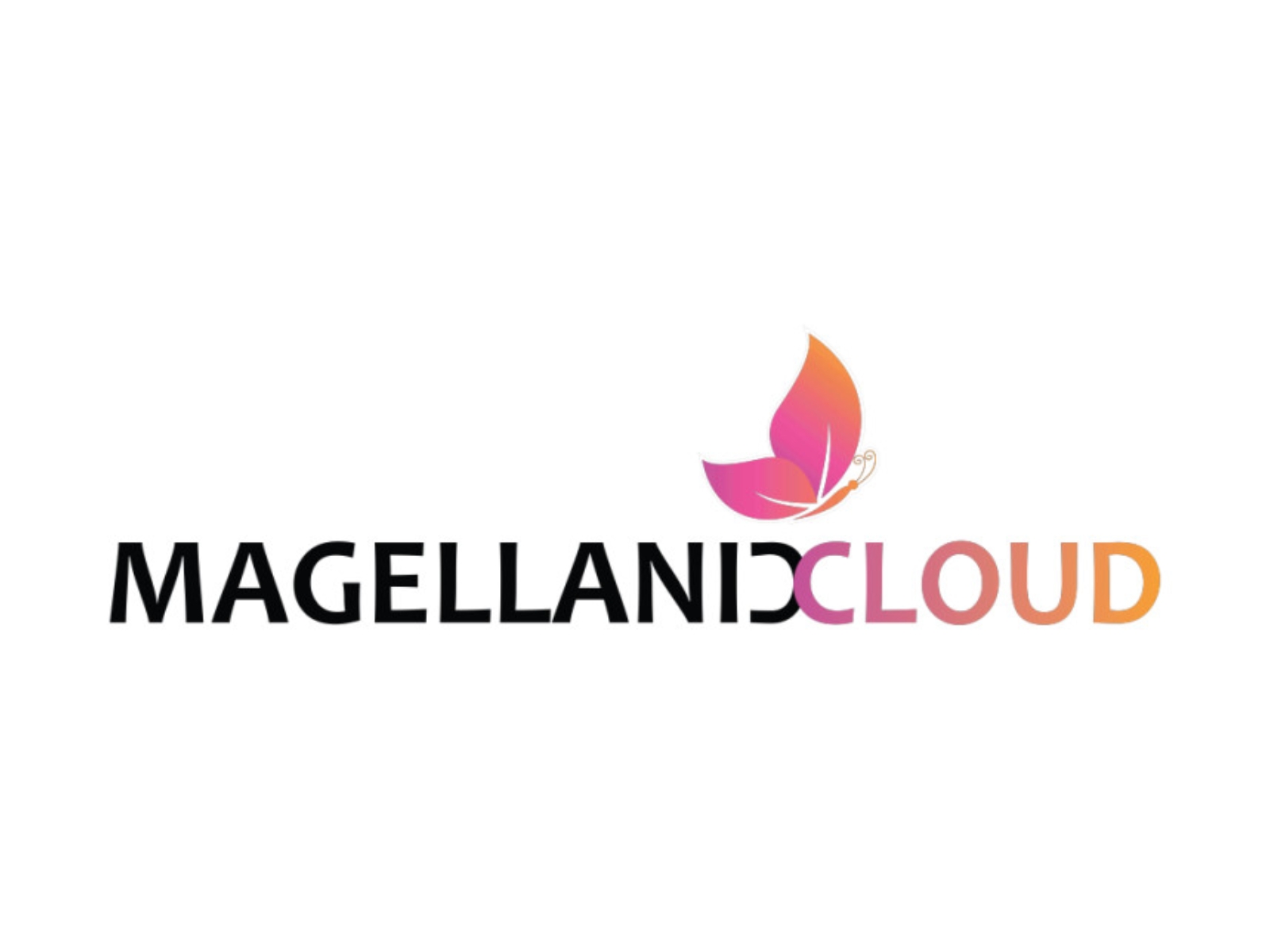 Magellanic Cloud Limited Announces Massive $11 Million UAV Joint Venture to Advance India's Make in India Defence Vision