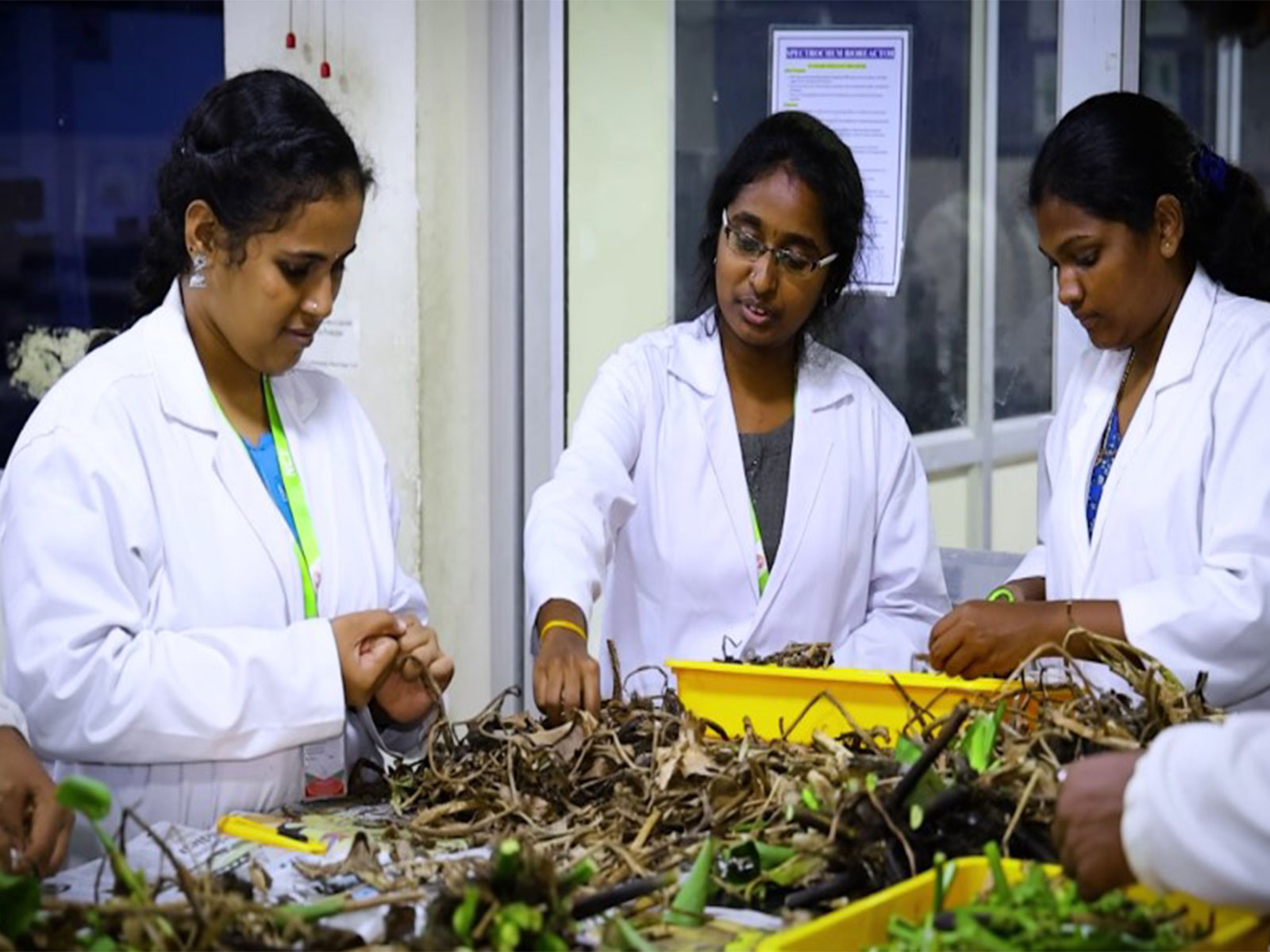 Ecologist demonstrates making paper from water hyacinth in Tiruchirappalli (Photo/ANI)