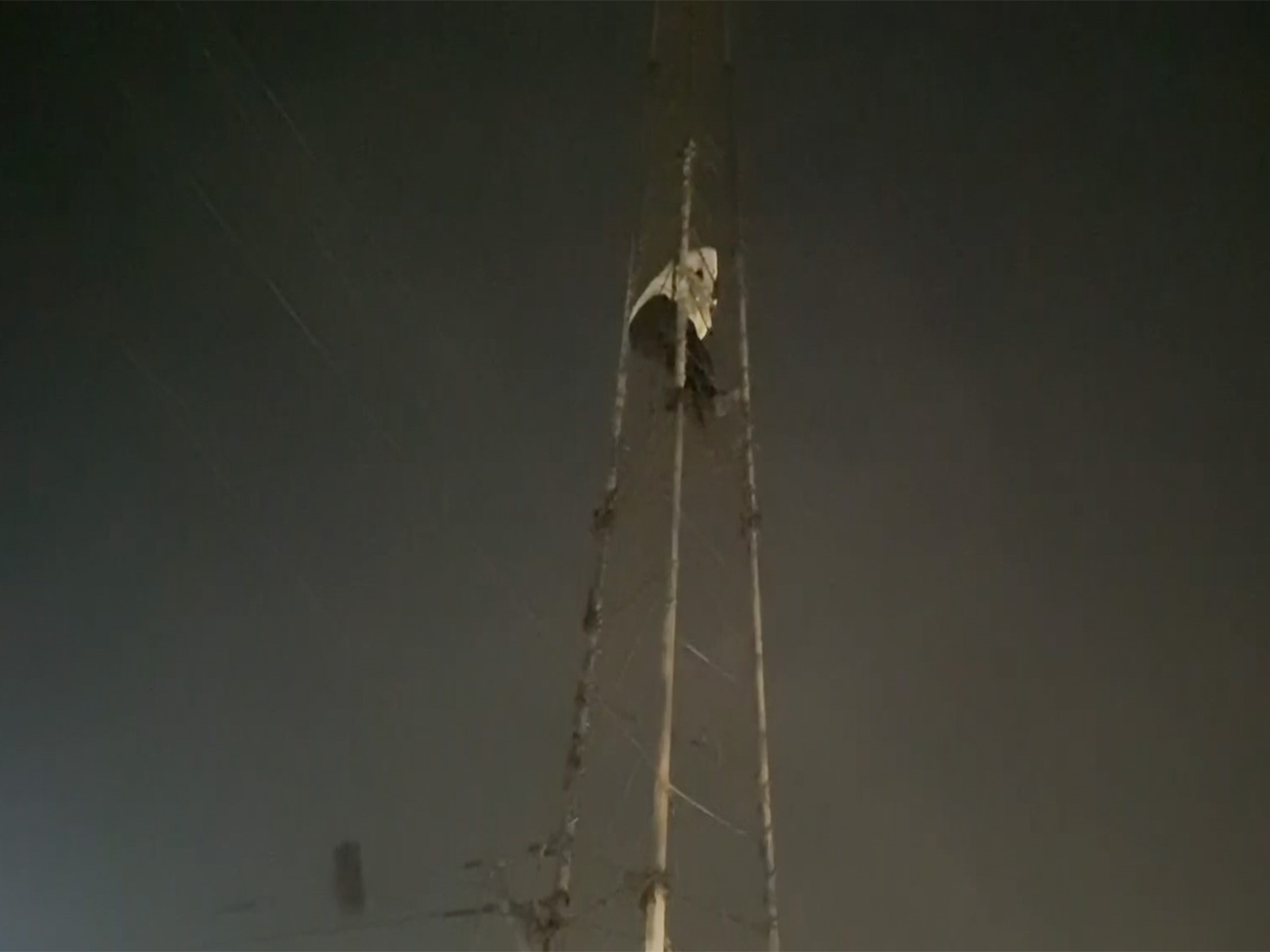 Suspended Junior Engineer Abhay Kumar climbing mobile tower (Photo/ANI)