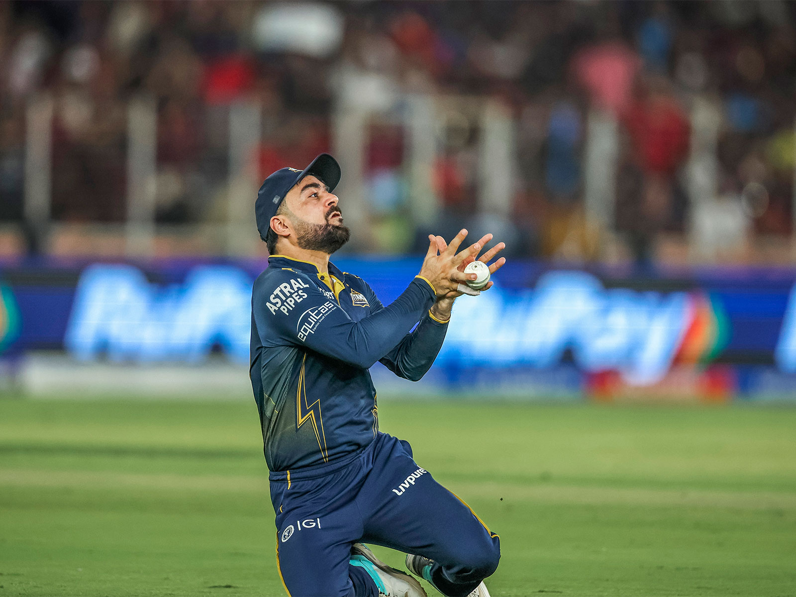 Rashid Khan. (Photo: ANI)