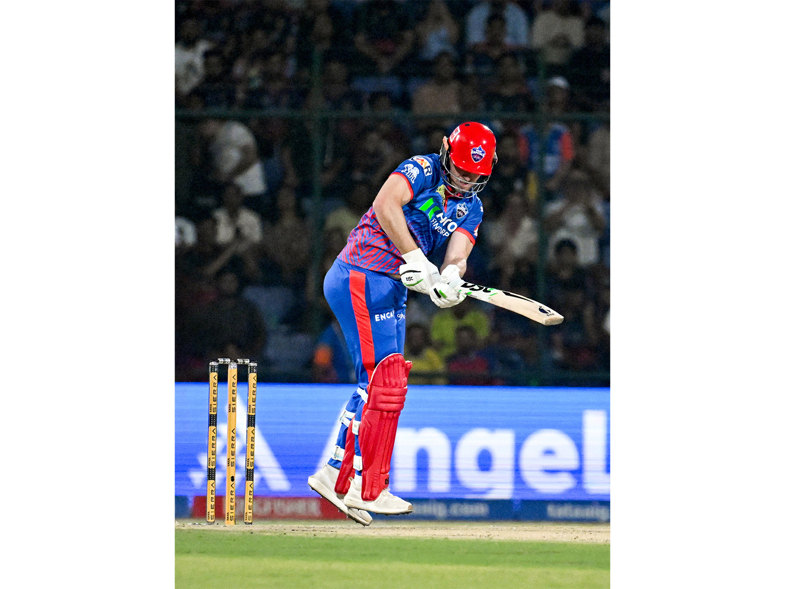 David Miller. (Photo: ANI)